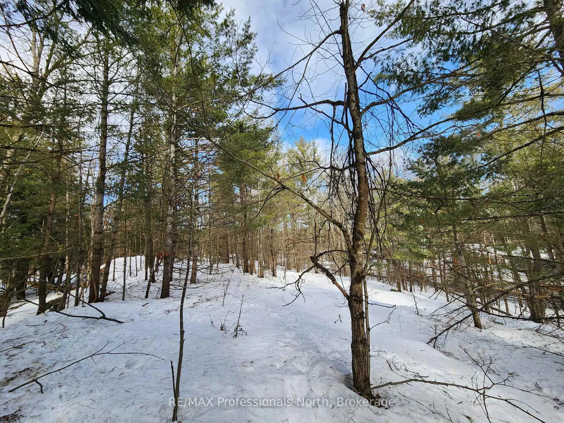 Photo 19 of 00 Manitoba Road, Bracebridge, Macaulay — HOMEH