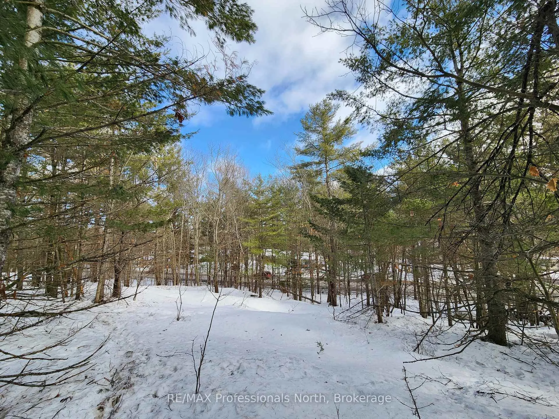 Photo 20 of 00 Manitoba Road, Bracebridge, Macaulay — HOMEH