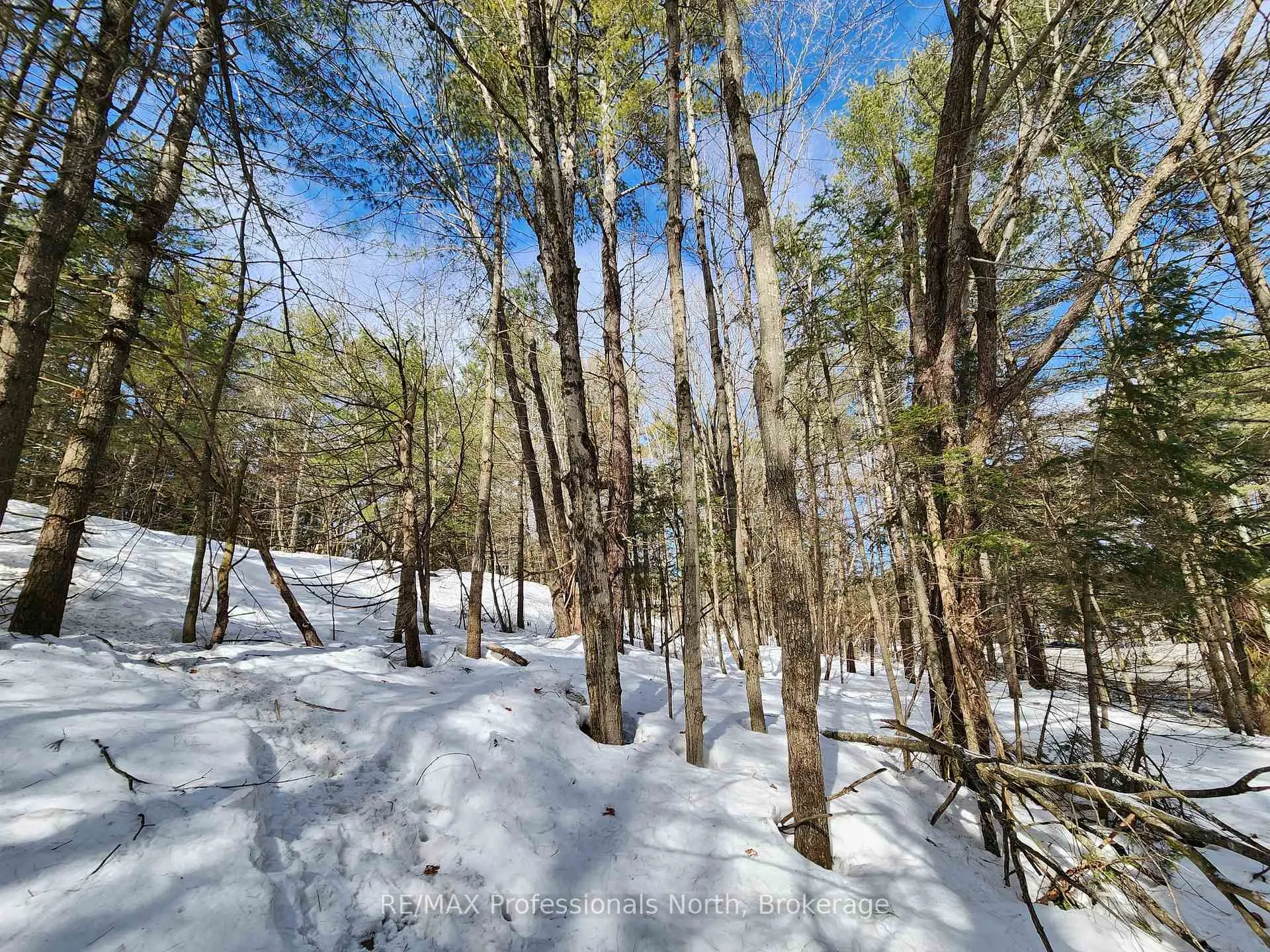 Photo 21 of 00 Manitoba Road, Bracebridge, Macaulay — HOMEH
