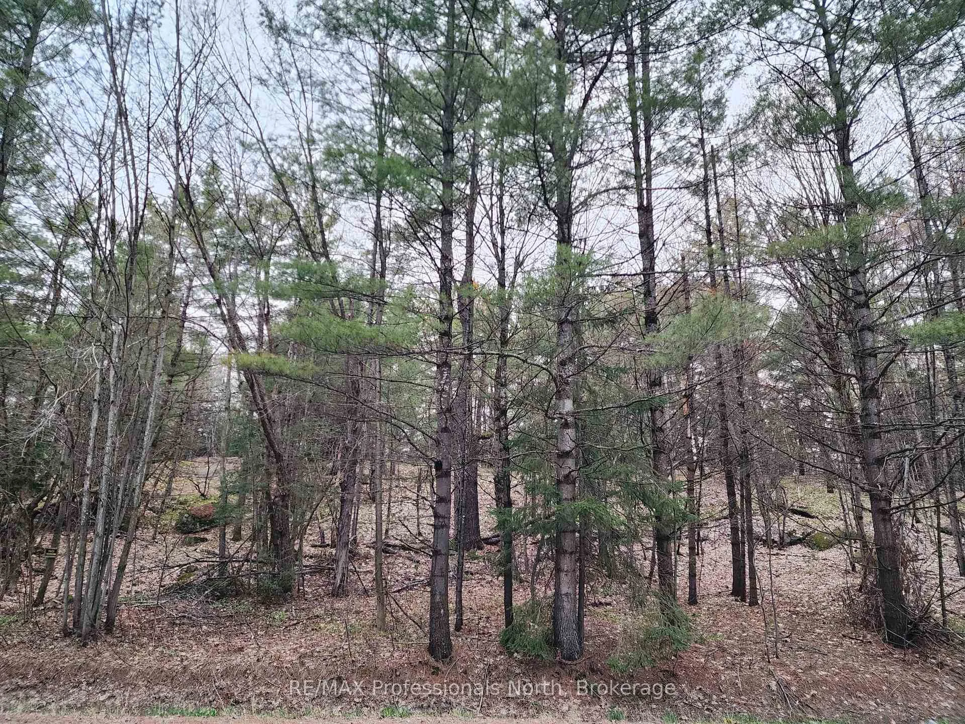 Photo 26 of 00 Manitoba Road, Bracebridge, Macaulay — HOMEH