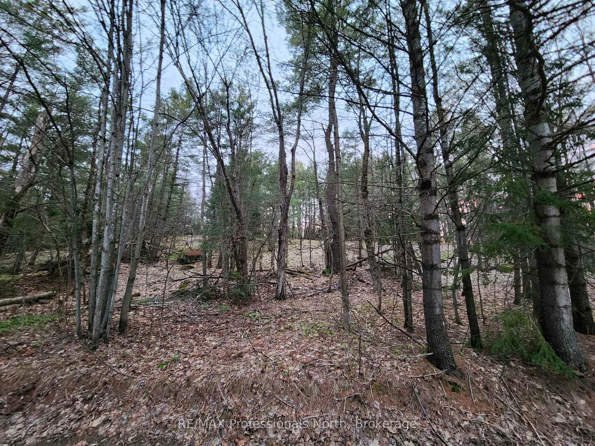 Photo 2 of 00 Manitoba Road, Bracebridge, Macaulay — HOMEH