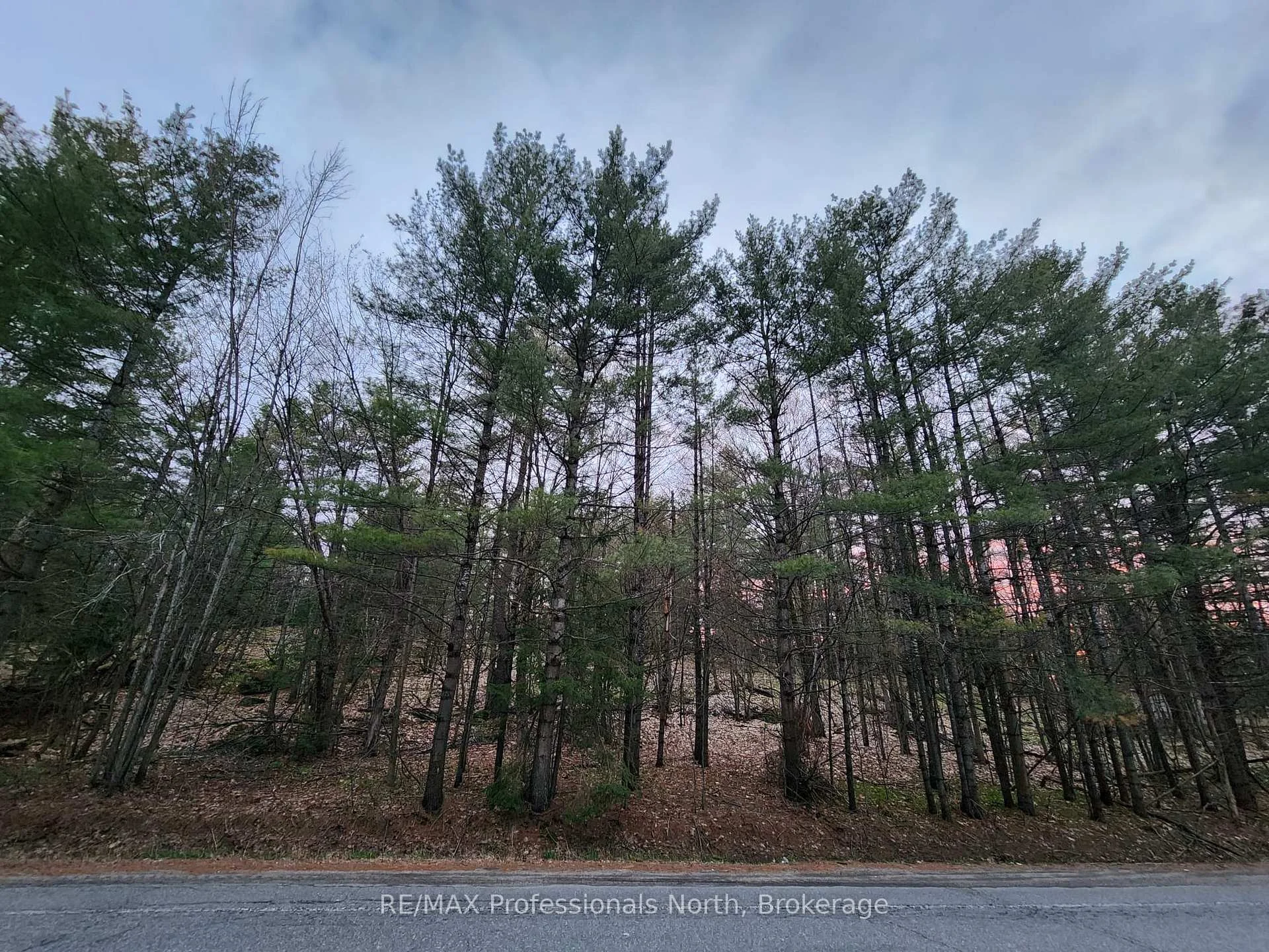 Photo 5 of 00 Manitoba Road, Bracebridge, Macaulay — HOMEH