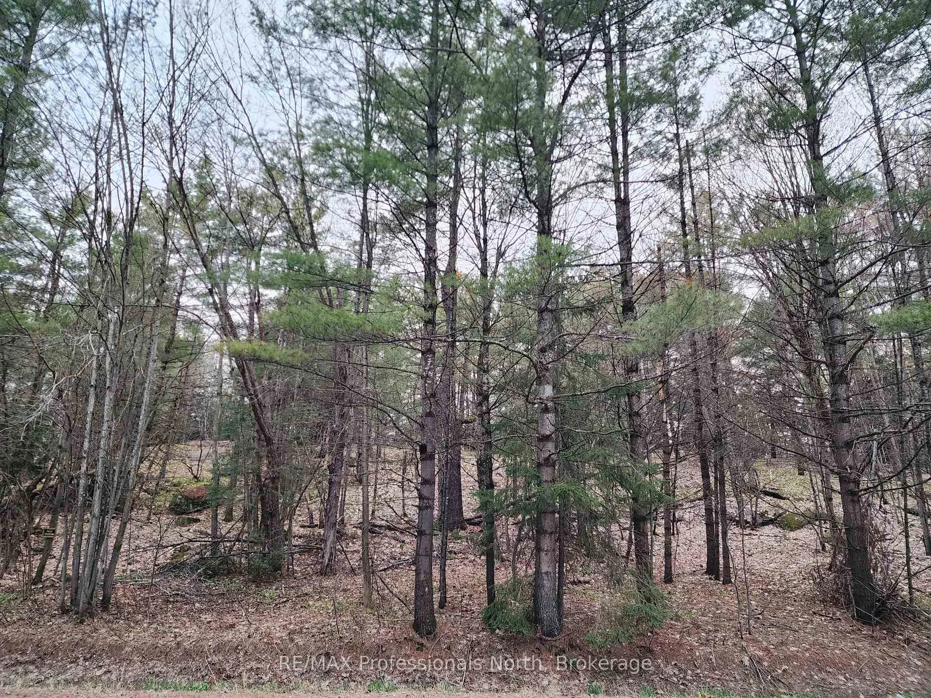Photo 8 of 00 Manitoba Road, Bracebridge, Macaulay — HOMEH