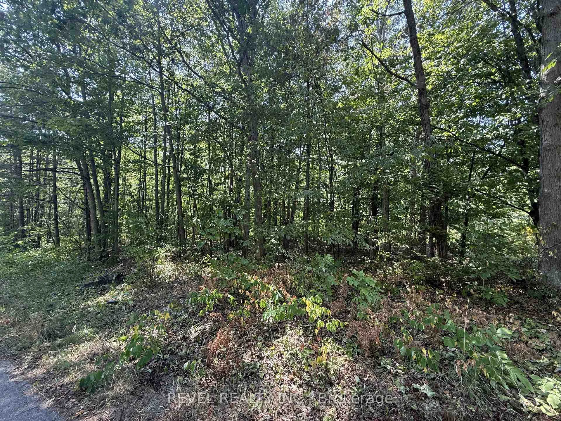 Photo 7 of 7815 Riverleigh Drive, Ramara, Rural Ramara — HOMEH