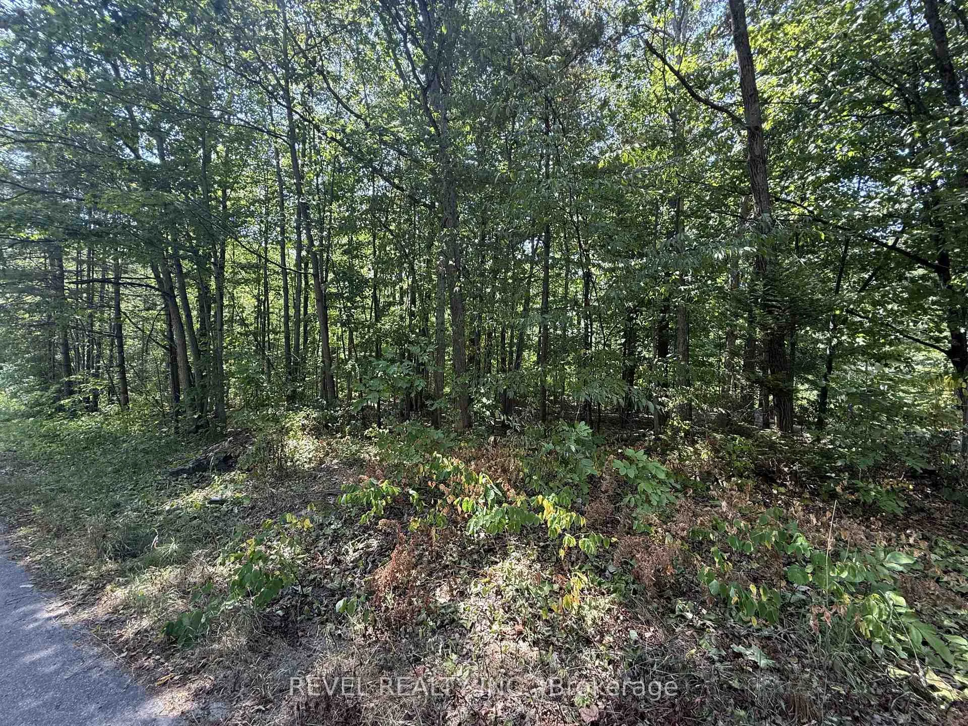 Photo 9 of 7815 Riverleigh Drive, Ramara, Rural Ramara — HOMEH