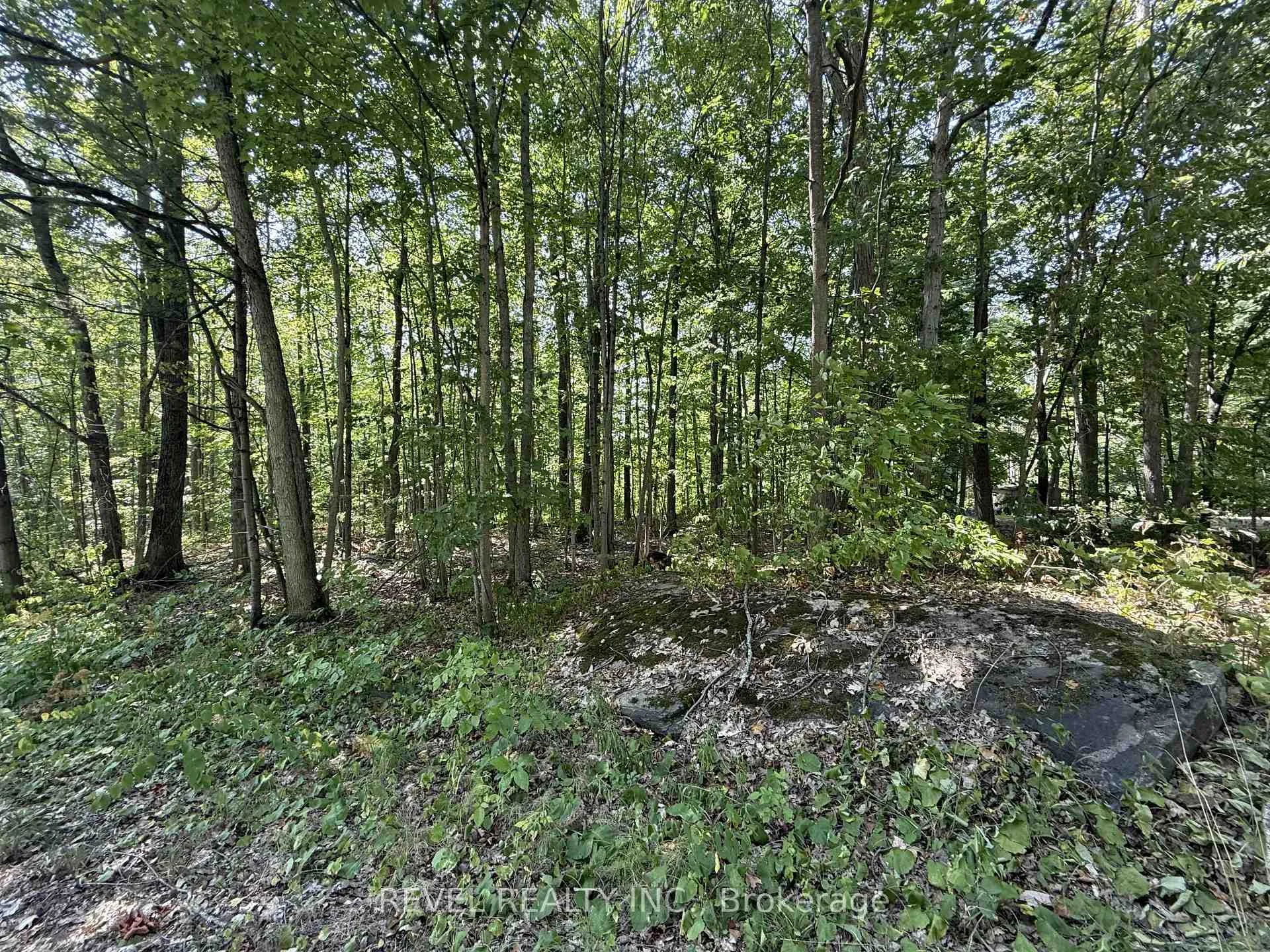 Photo 10 of 7815 Riverleigh Drive, Ramara, Rural Ramara — HOMEH