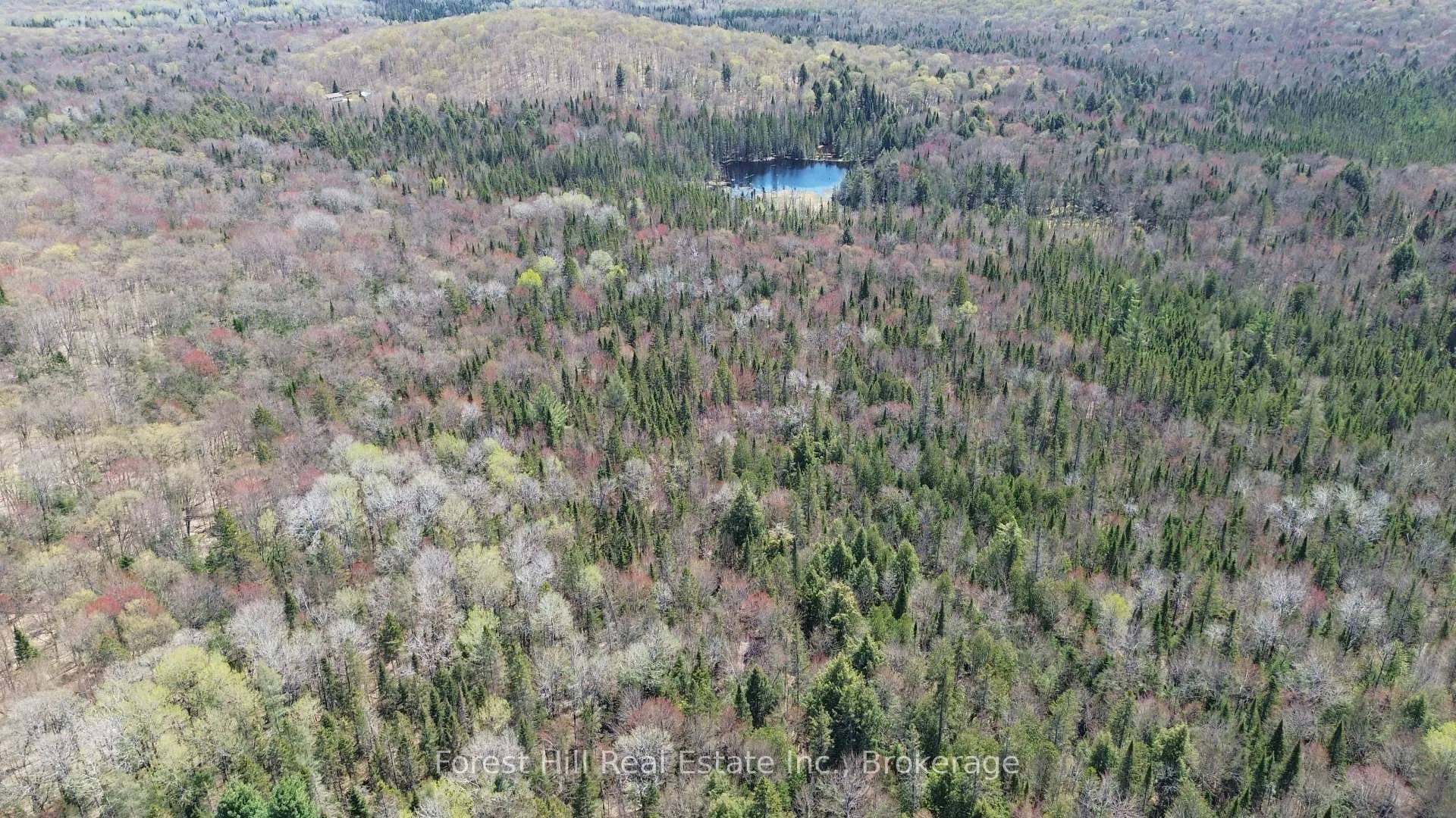 Photo 18 of 515 James Camp Road, Ryerson — HOMEH