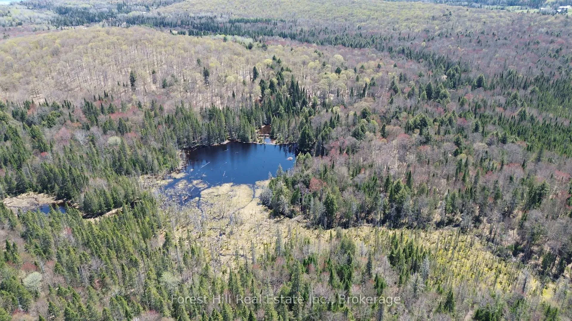 Photo 19 of 515 James Camp Road, Ryerson — HOMEH