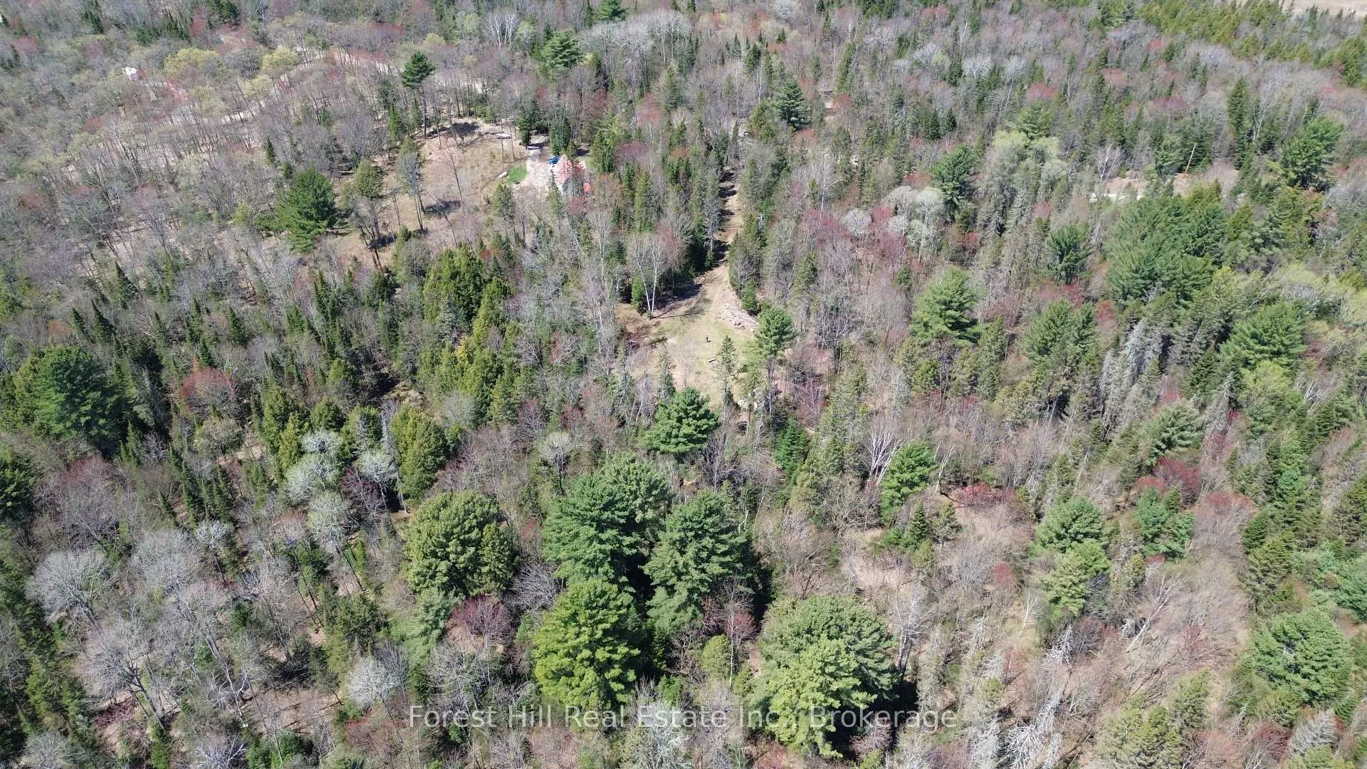 Photo 21 of 515 James Camp Road, Ryerson — HOMEH