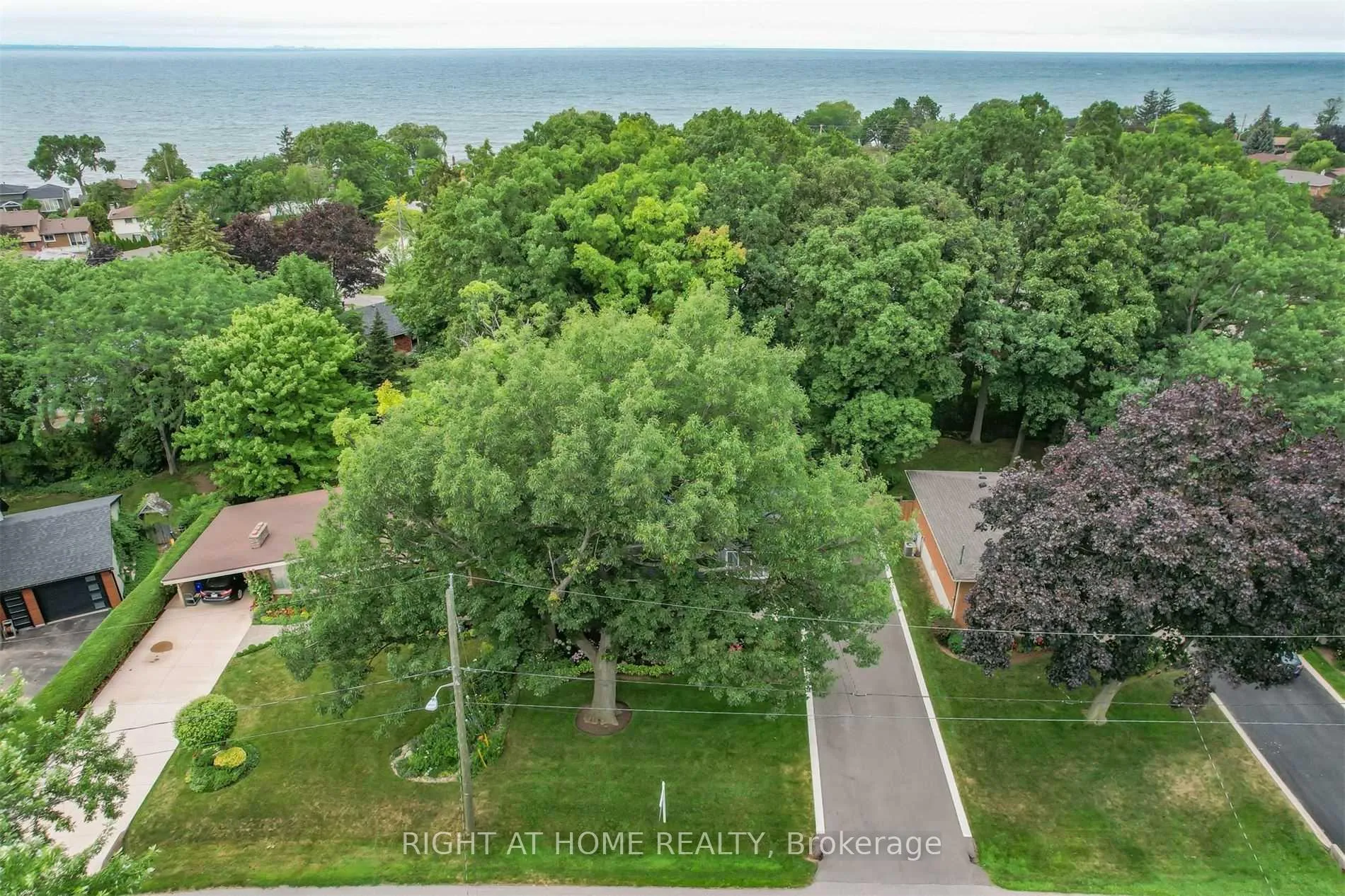 Photo 3 of 14 Forest Road, Grimsby, Grimsby Beach — HOMEH