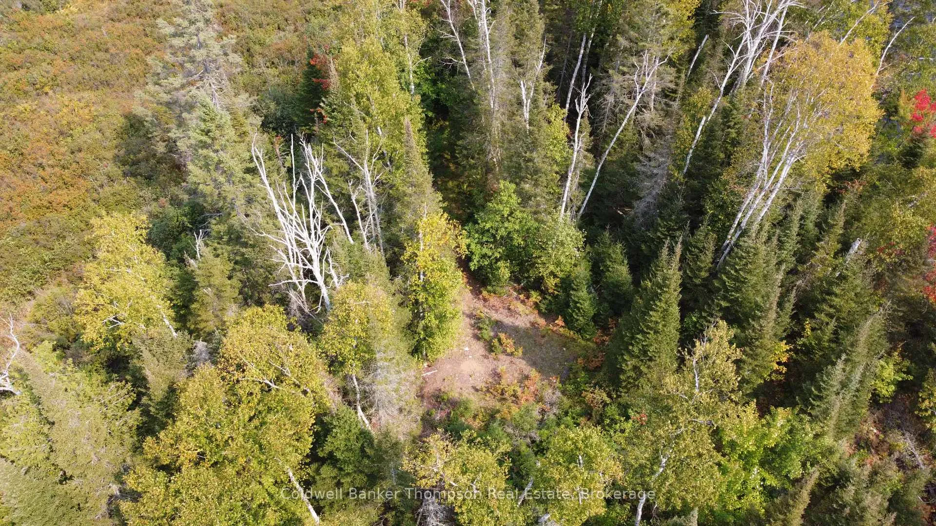 Photo 21 of 1471 Pickerel & Jack Lake Road, Armour — HOMEH