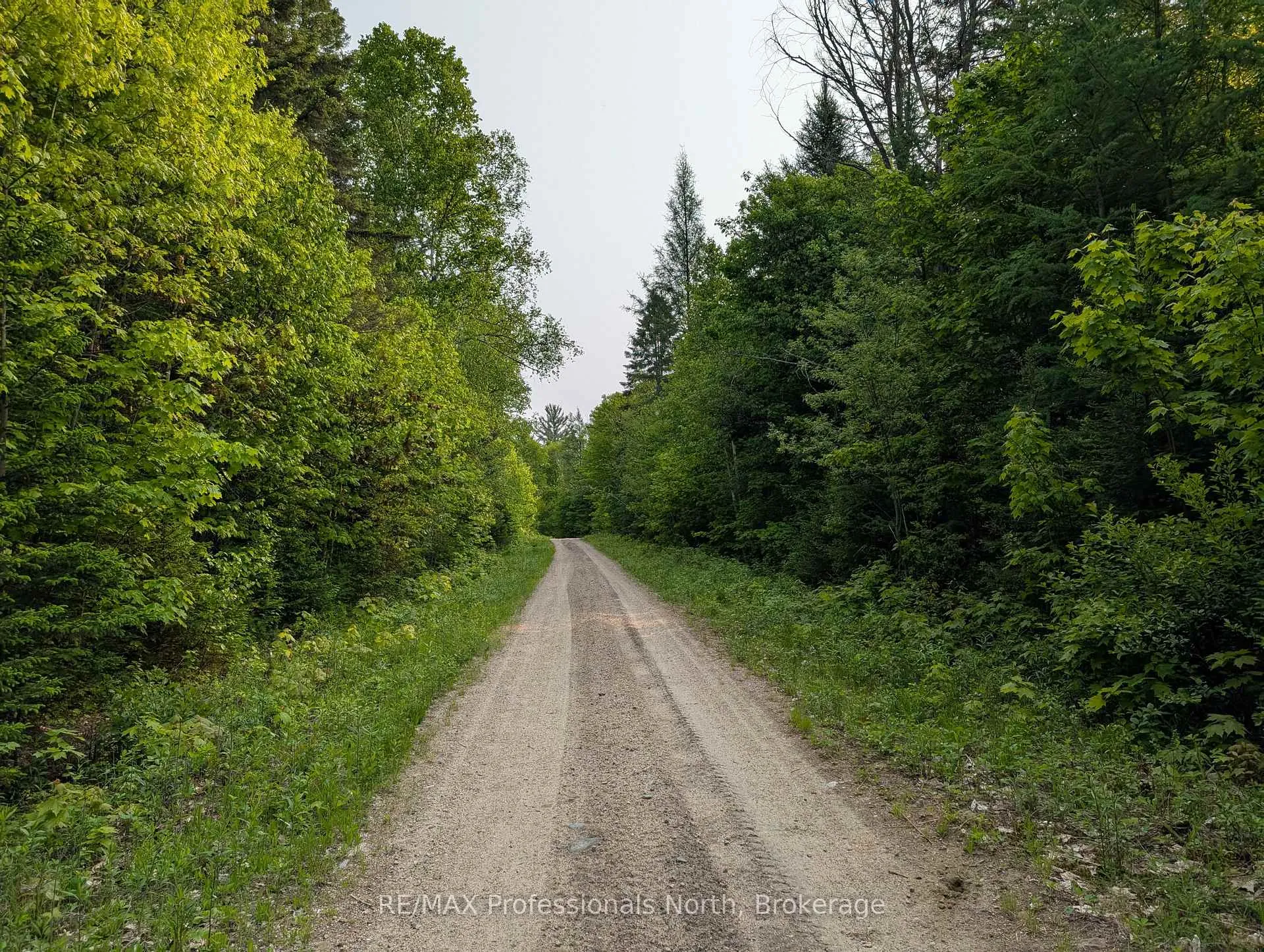 Photo 3 of Woods Road, Parry Sound Remote Area, Lount — HOMEH
