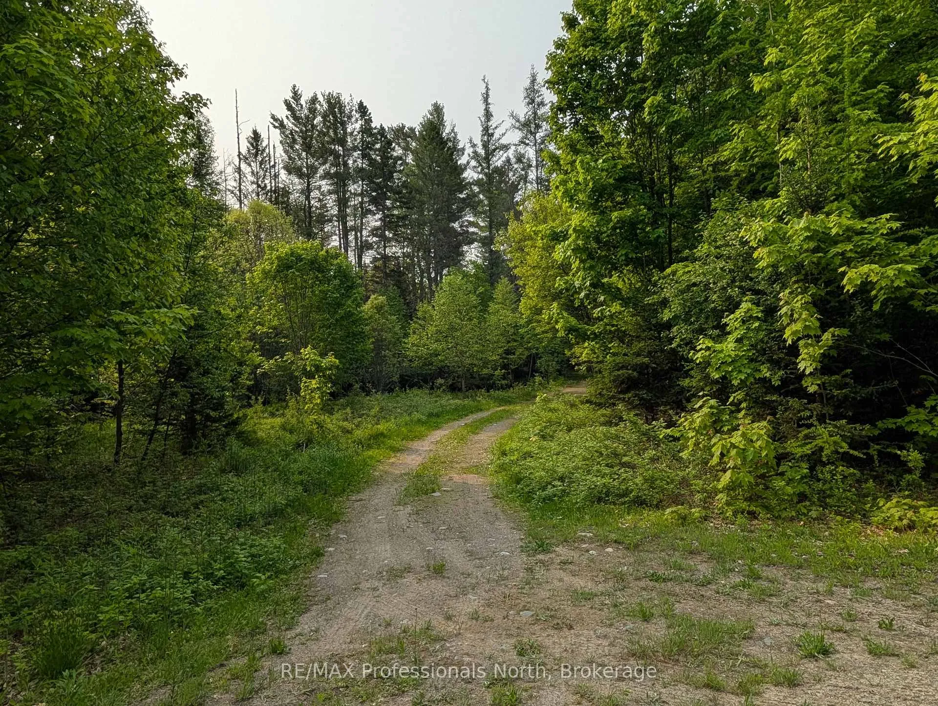 Photo 6 of Woods Road, Parry Sound Remote Area, Lount — HOMEH