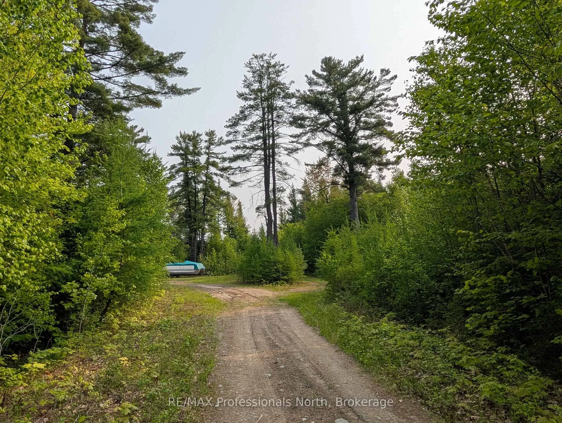 Photo 14 of Woods Road, Parry Sound Remote Area, Lount — HOMEH
