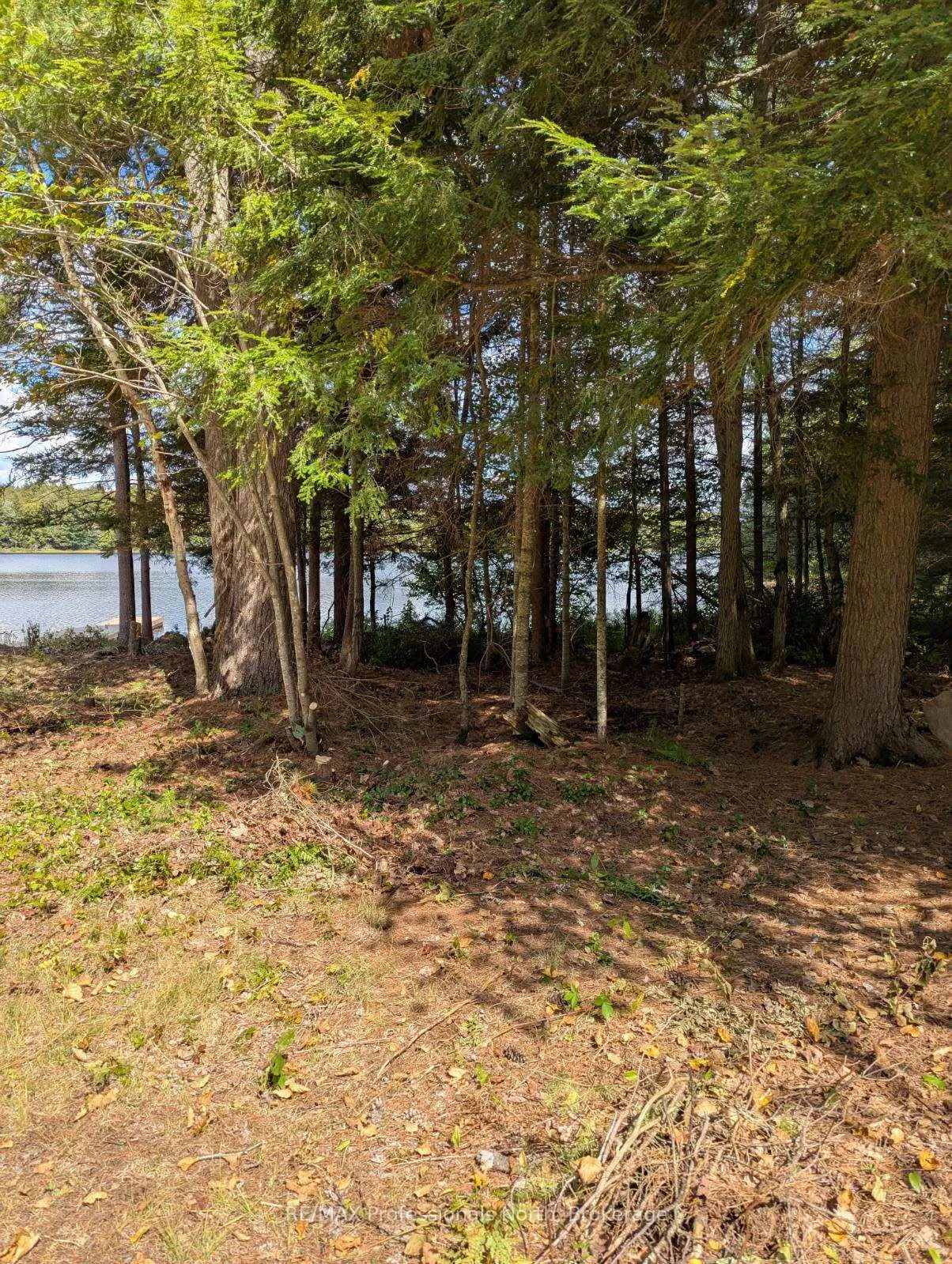 Photo 15 of Woods Road, Parry Sound Remote Area, Lount — HOMEH