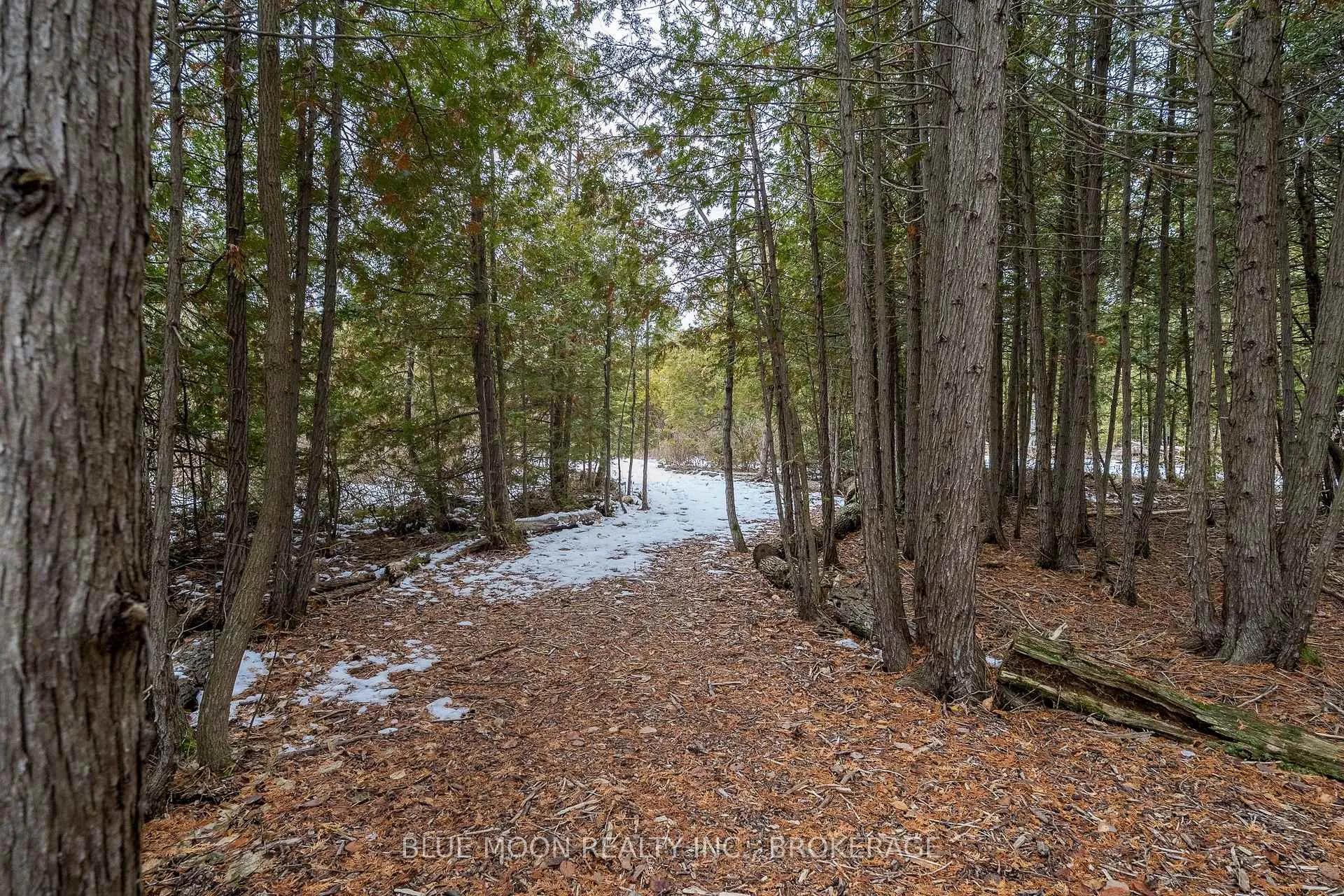 Photo 16 of 1 Riverwood Cove, Stone Mills — HOMEH