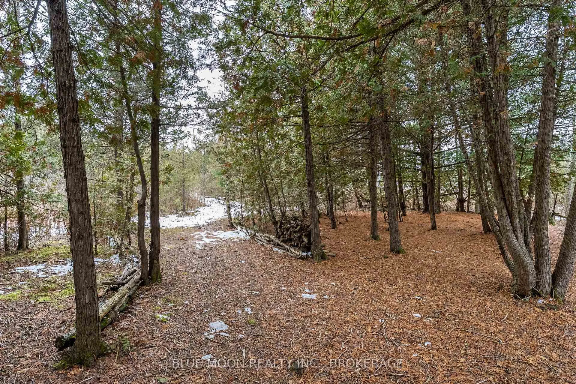 Photo 17 of 1 Riverwood Cove, Stone Mills — HOMEH