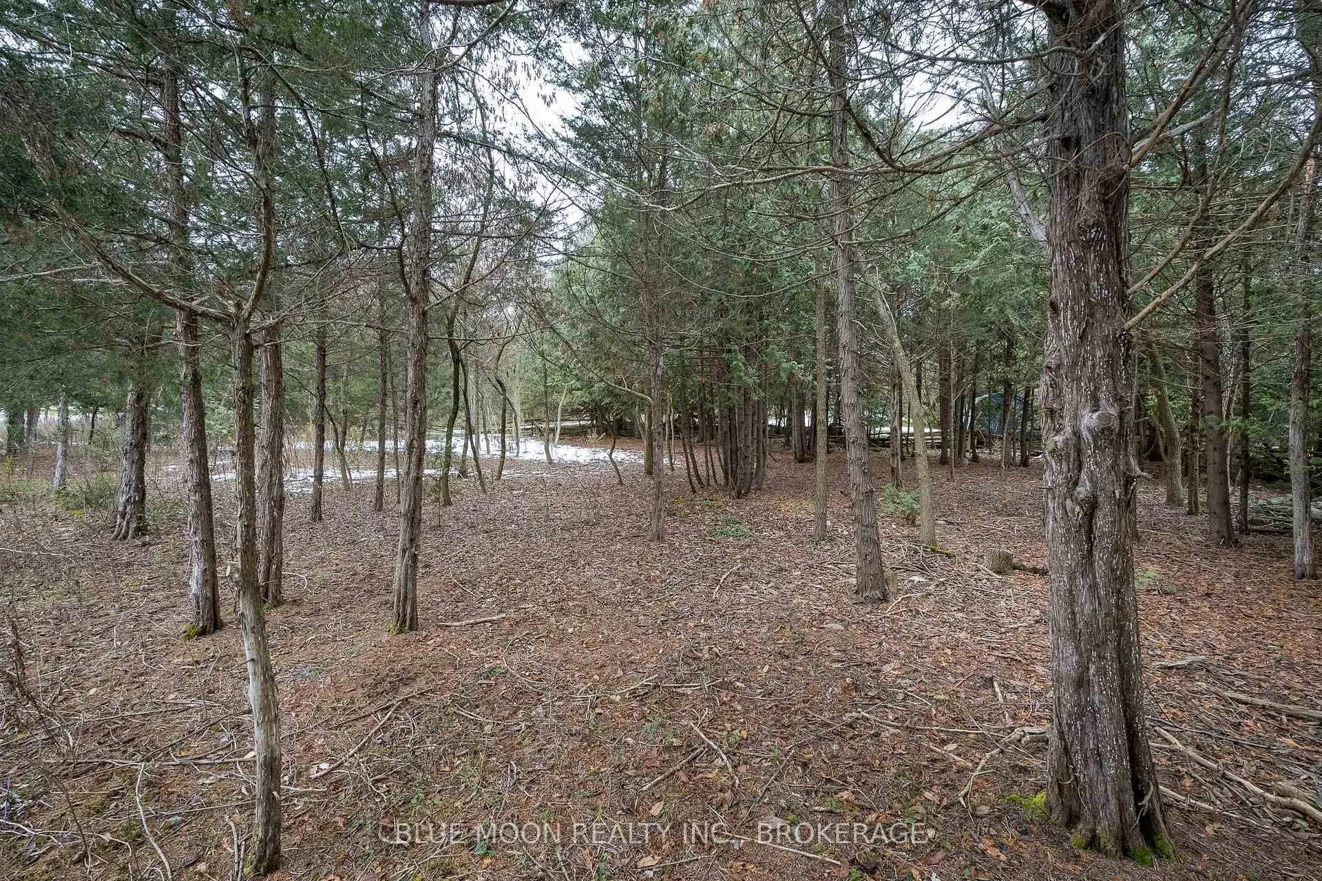 Photo 19 of 1 Riverwood Cove, Stone Mills — HOMEH