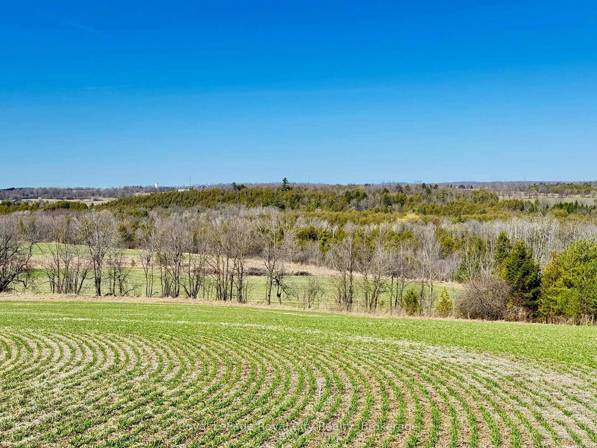 Photo 5 of 156 Barden Street, Guelph/Eramosa, Eden Mills — HOMEH