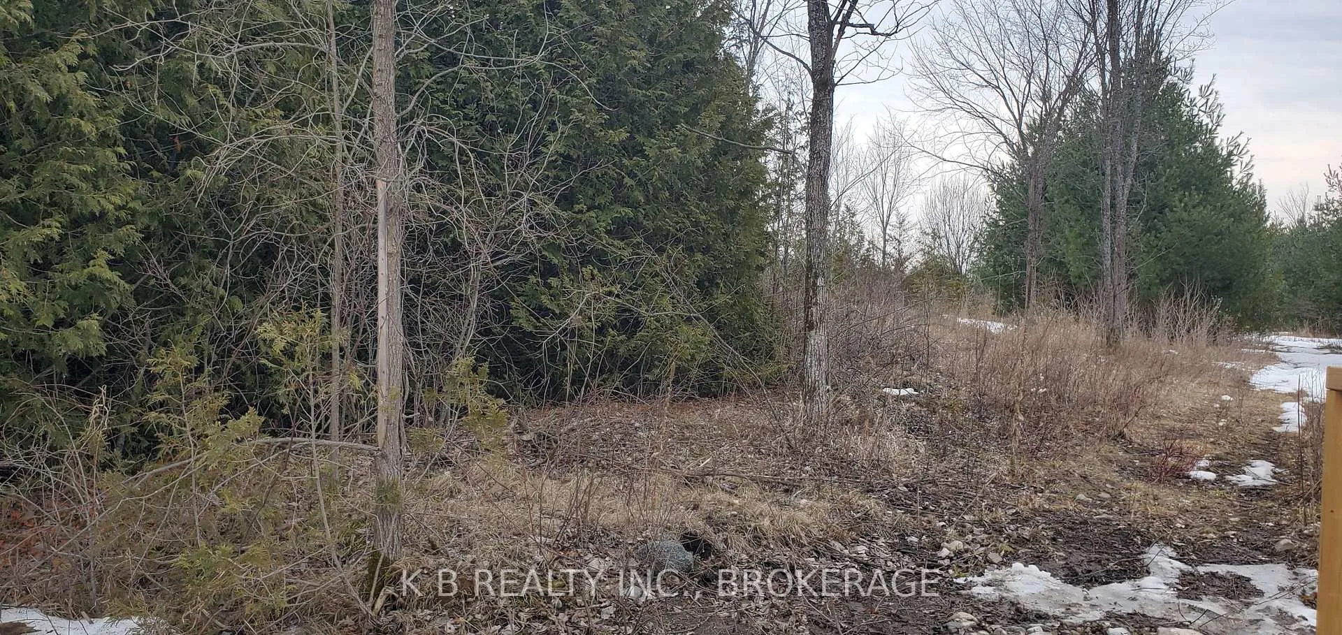 Photo 4 of 380 Adair Road, Stone Mills — HOMEH