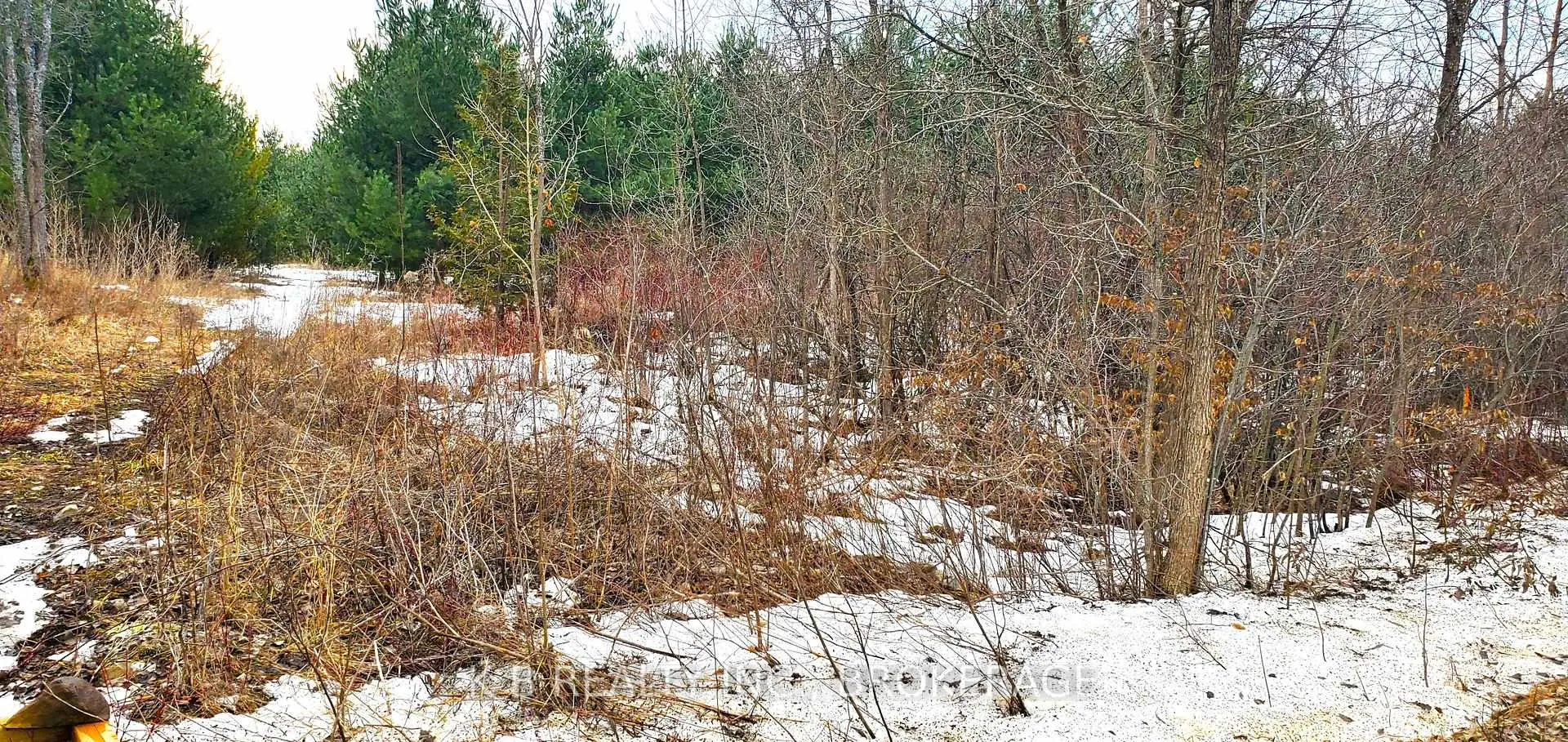 Photo 5 of 380 Adair Road, Stone Mills — HOMEH
