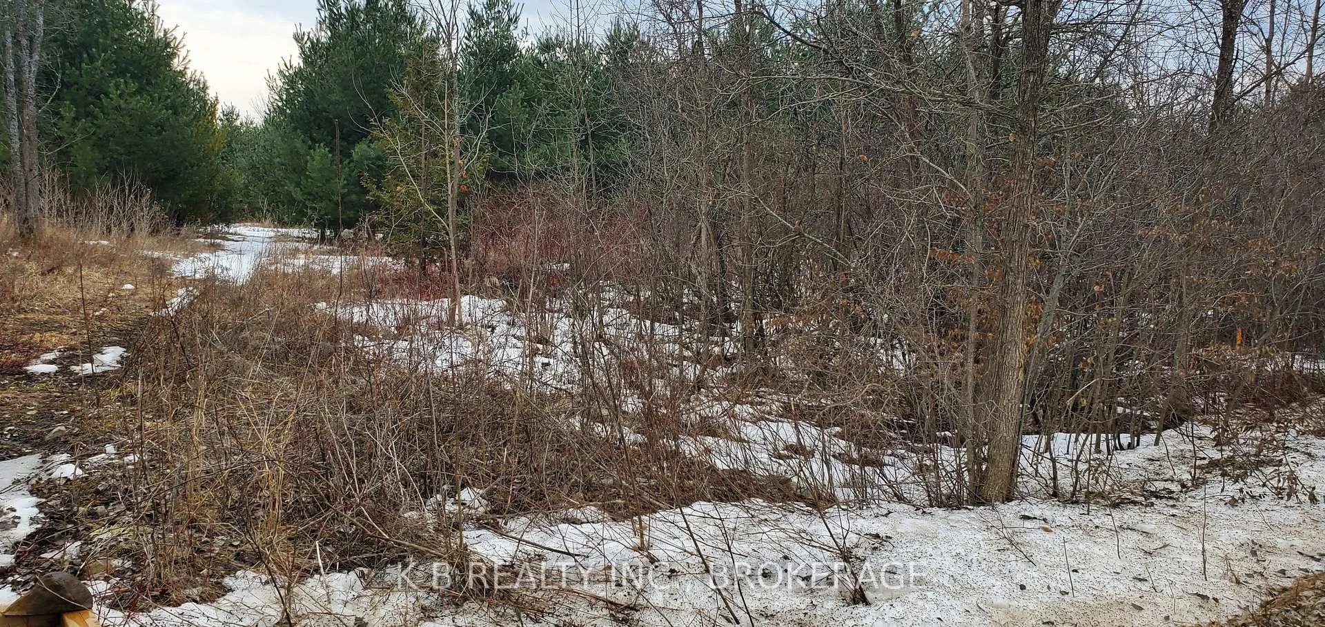 Photo 6 of 380 Adair Road, Stone Mills — HOMEH