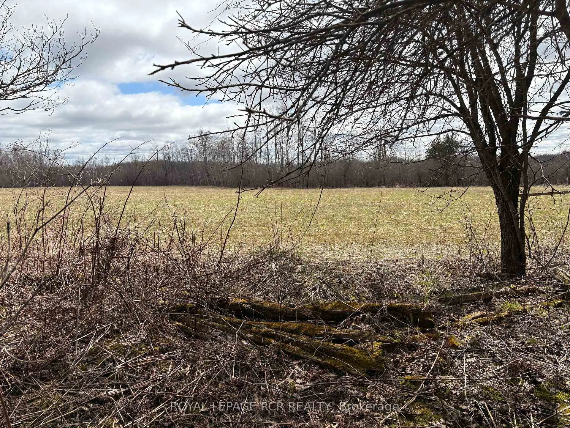 Photo 6 of PtLt 20 Con 8 (9th Line), Amaranth, Rural Amaranth — HOMEH