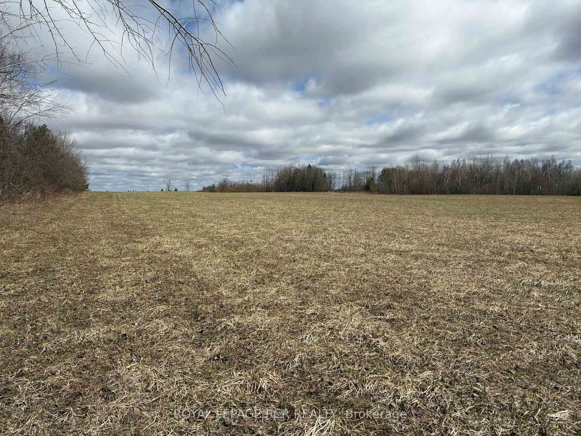 Photo 9 of PtLt 20 Con 8 (9th Line), Amaranth, Rural Amaranth — HOMEH