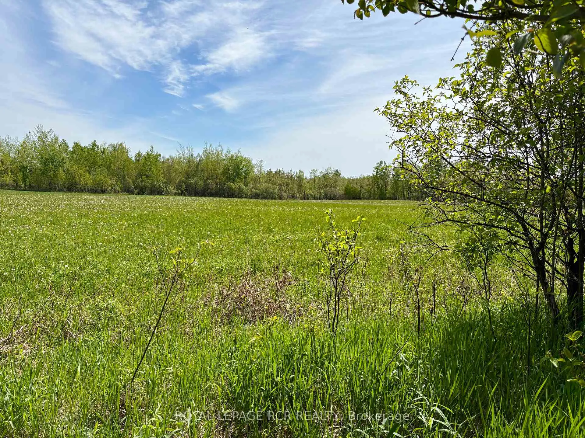 Photo 2 of PtLt 20 Con 8 (9th Line), Amaranth, Rural Amaranth — HOMEH