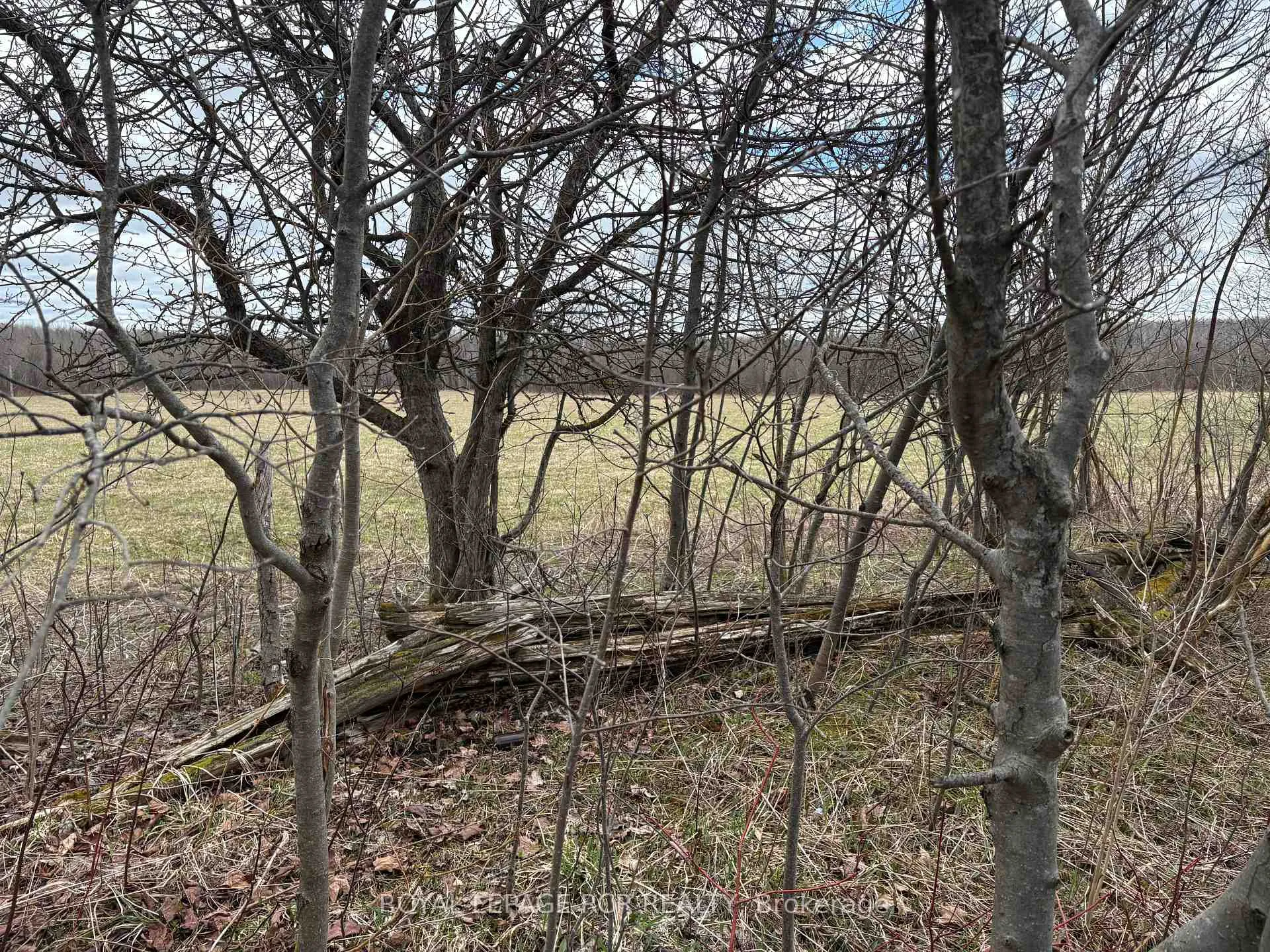 Photo 10 of PtLt 20 Con 8 (9th Line), Amaranth, Rural Amaranth — HOMEH