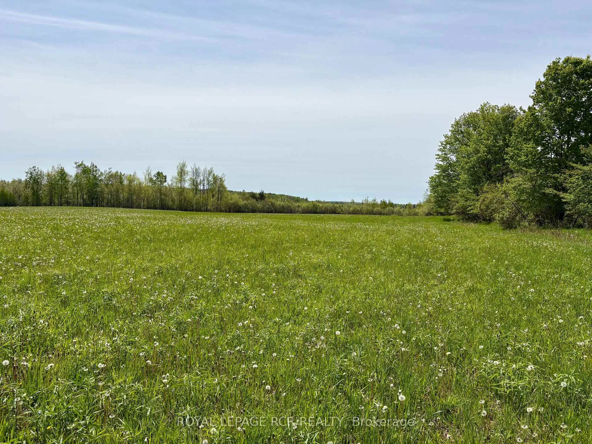 Photo 11 of PtLt 20 Con 8 (9th Line), Amaranth, Rural Amaranth — HOMEH
