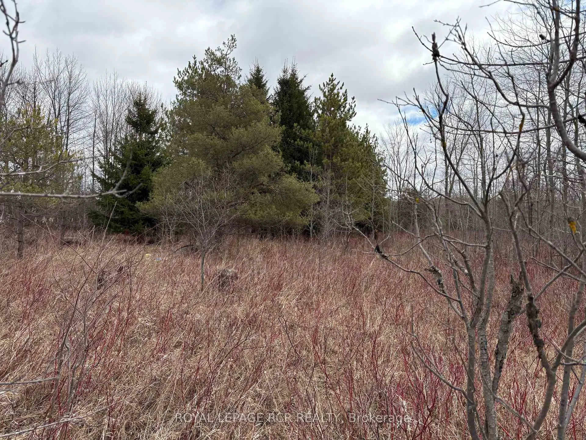 Photo 18 of PtLt 20 Con 8 (9th Line), Amaranth, Rural Amaranth — HOMEH
