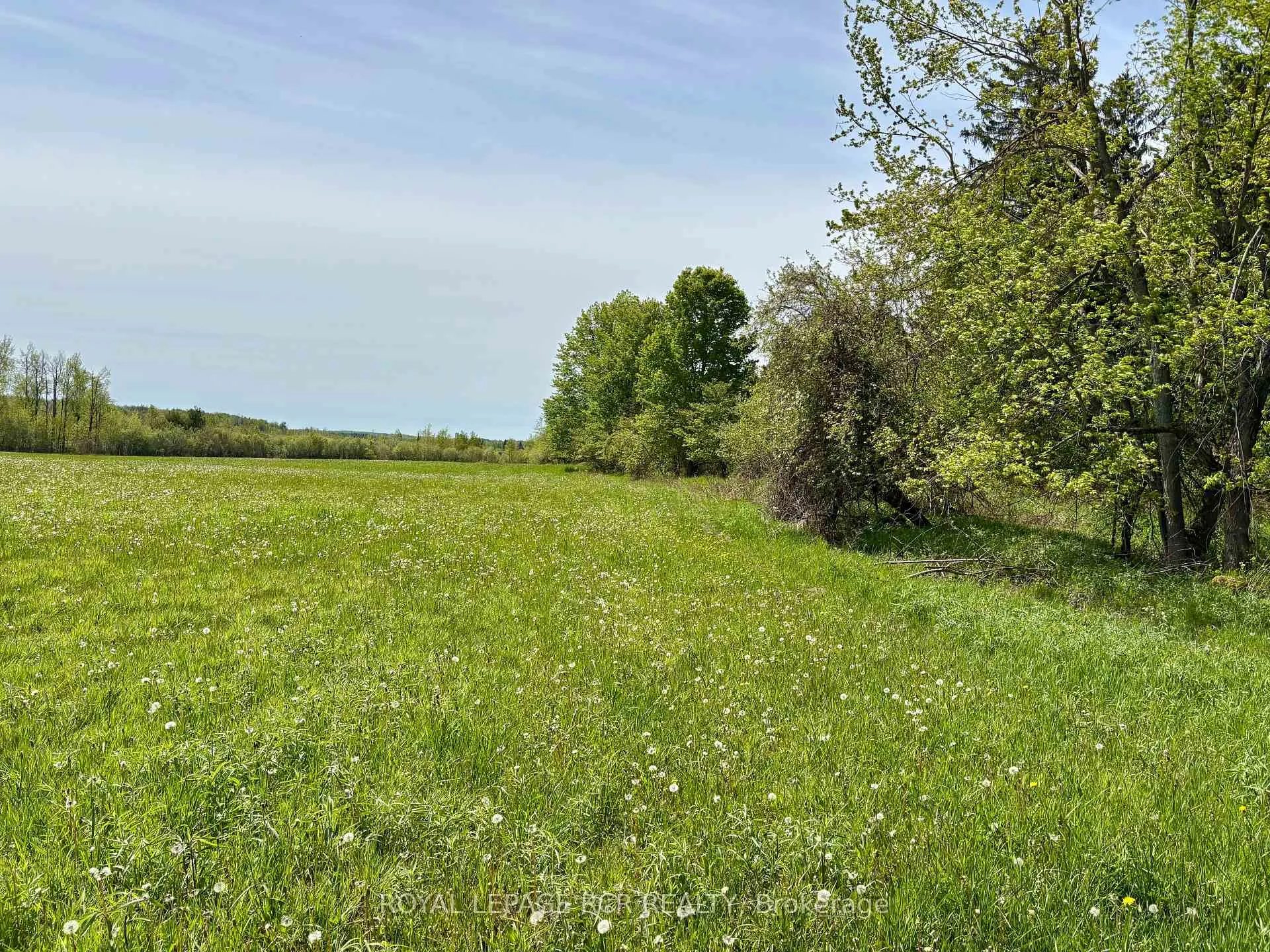 Photo 19 of PtLt 20 Con 8 (9th Line), Amaranth, Rural Amaranth — HOMEH
