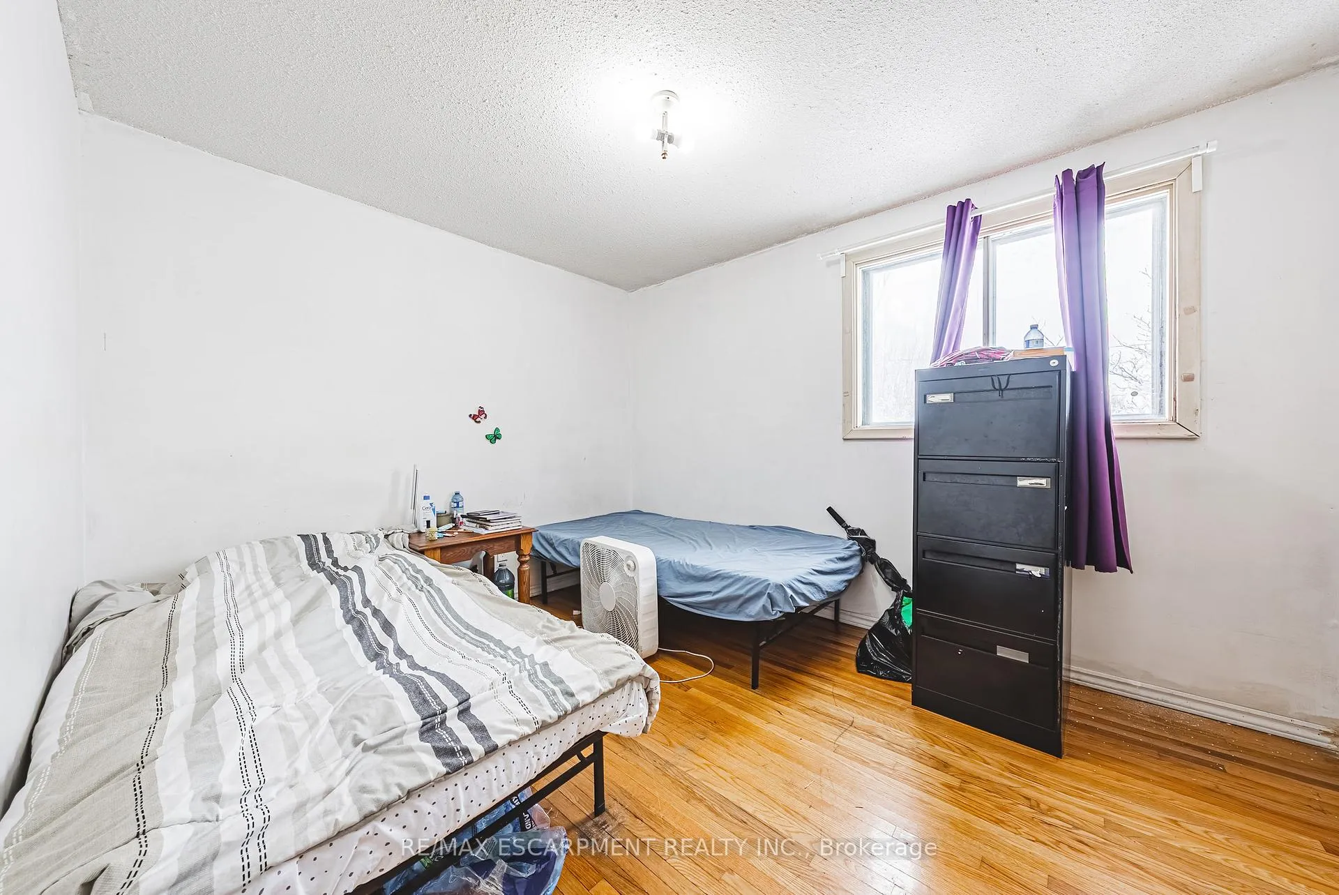 Photo 16 of 27 Glenview Court, Hamilton, Gourley — HOMEH