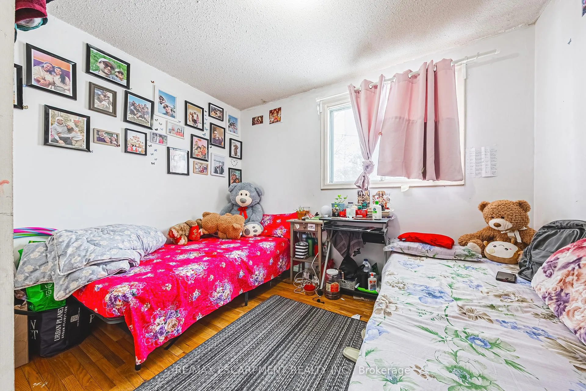 Photo 20 of 27 Glenview Court, Hamilton, Gourley — HOMEH