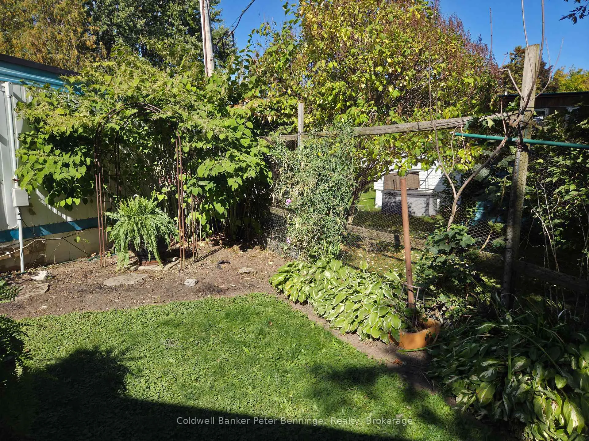 Photo 18 of 123 Scott Street, Woolwich — HOMEH