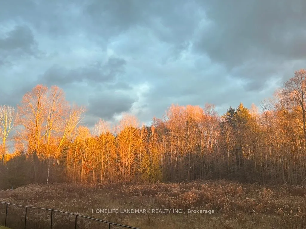 Photo 20 of 59 Big Canoe Drive, Georgina, Sutton & Jackson's Point — HOMEH