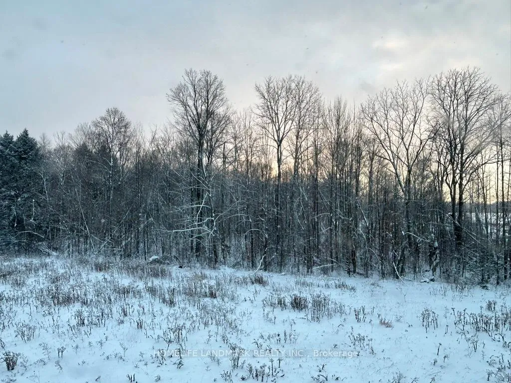 Photo 21 of 59 Big Canoe Drive, Georgina, Sutton & Jackson's Point — HOMEH