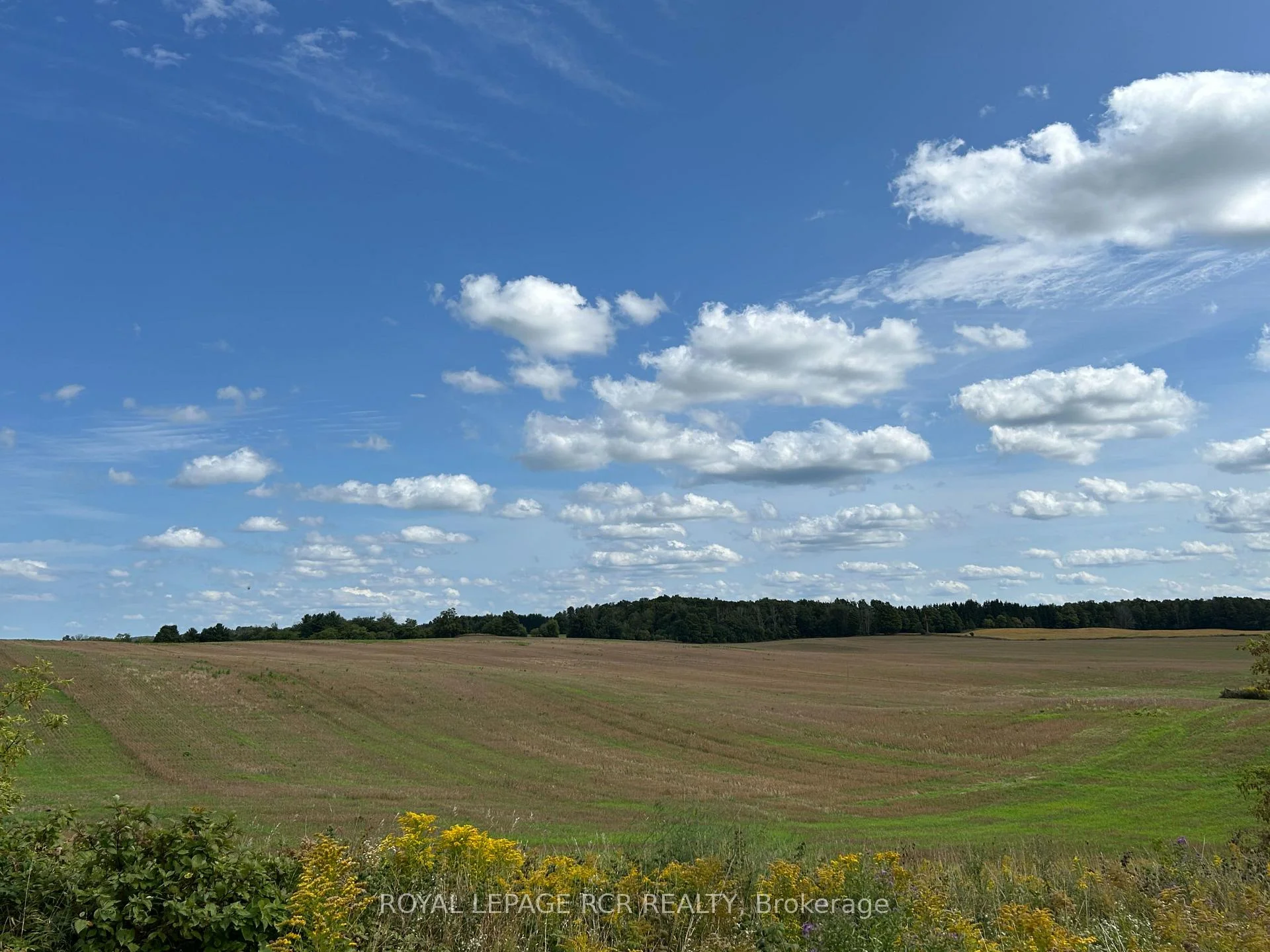 Photo of PtLt 29 2nd Line