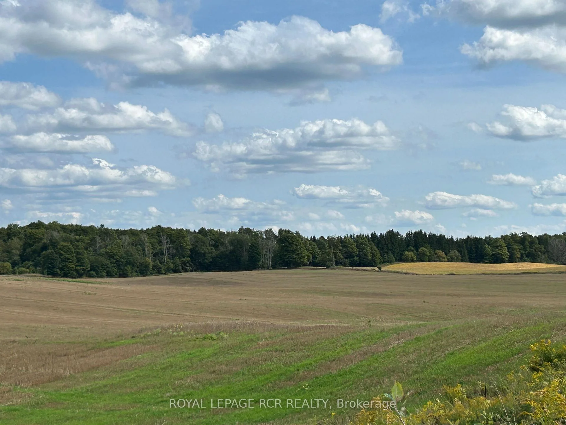 Photo 2 of PtLt 29 2nd Line, Amaranth, Rural Amaranth — HOMEH