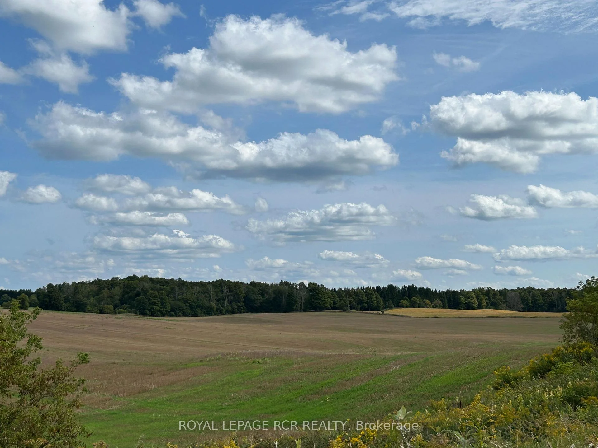 Photo 3 of PtLt 29 2nd Line, Amaranth, Rural Amaranth — HOMEH