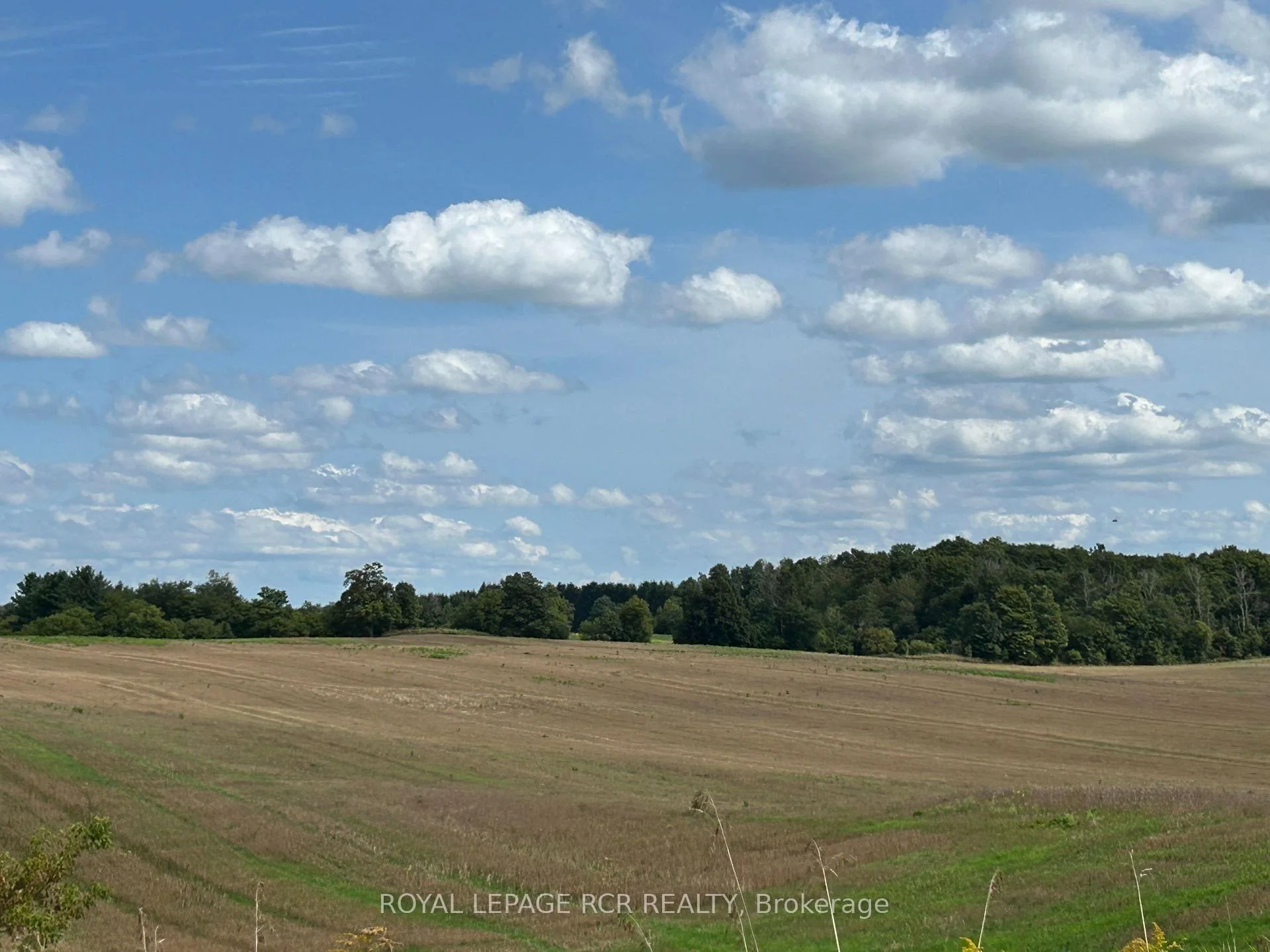 Photo 4 of PtLt 29 2nd Line, Amaranth, Rural Amaranth — HOMEH