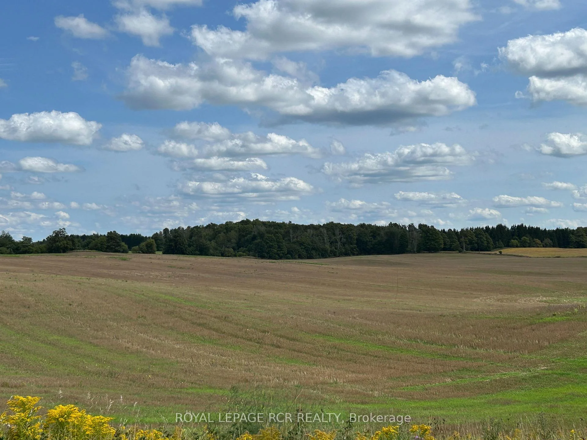Photo 7 of PtLt 29 2nd Line, Amaranth, Rural Amaranth — HOMEH