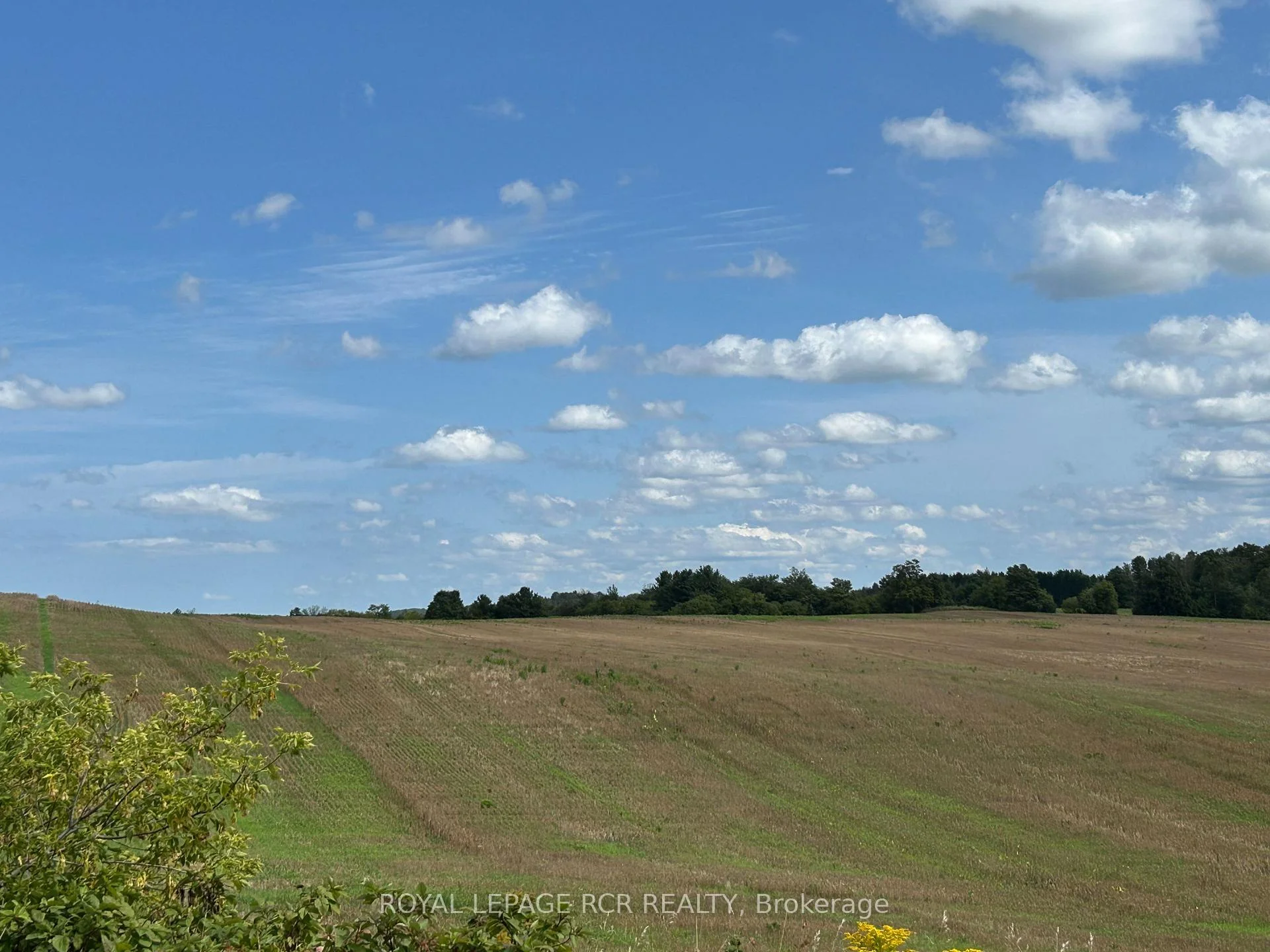 Photo 8 of PtLt 29 2nd Line, Amaranth, Rural Amaranth — HOMEH