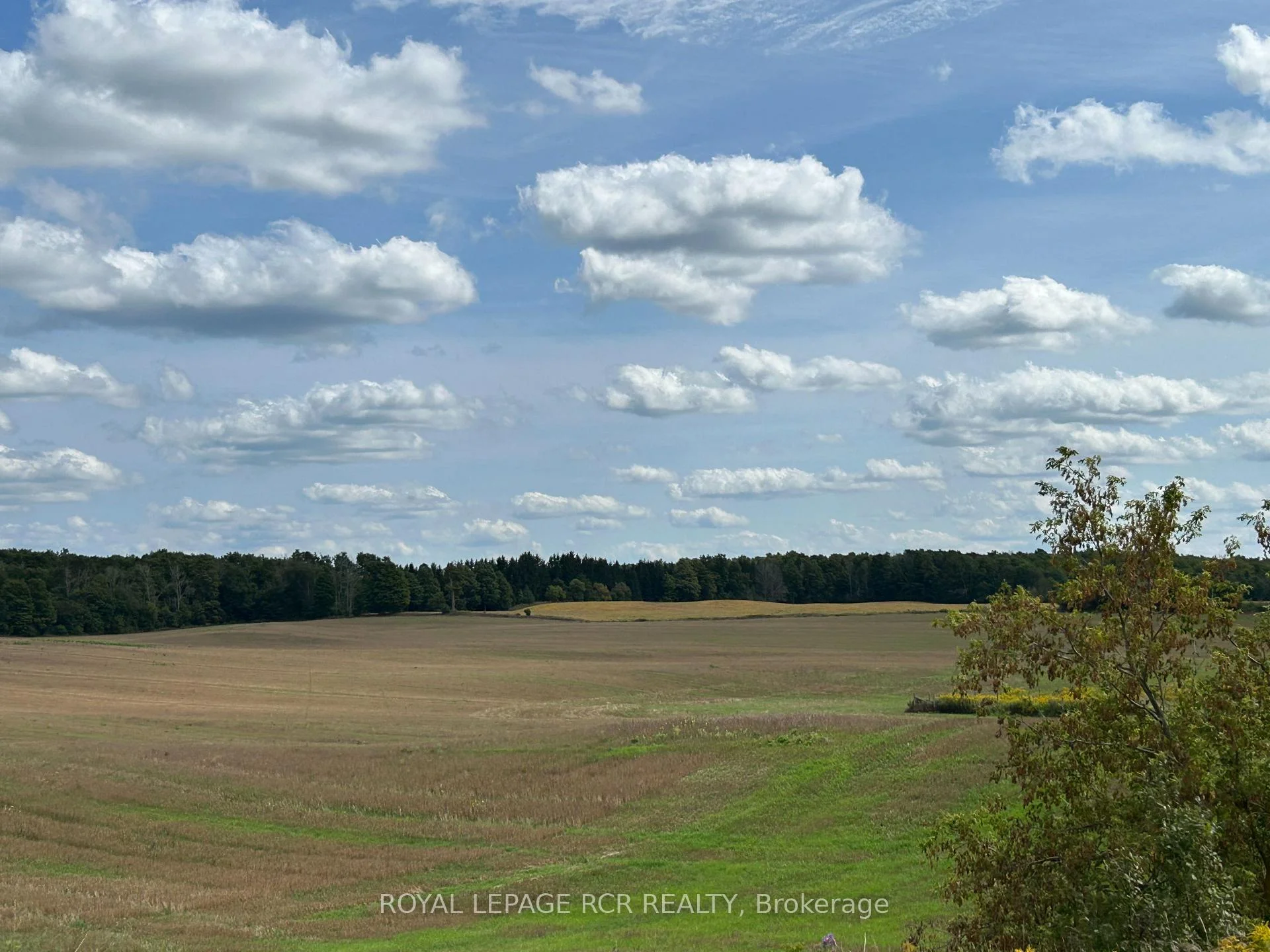 Photo 12 of PtLt 29 2nd Line, Amaranth, Rural Amaranth — HOMEH