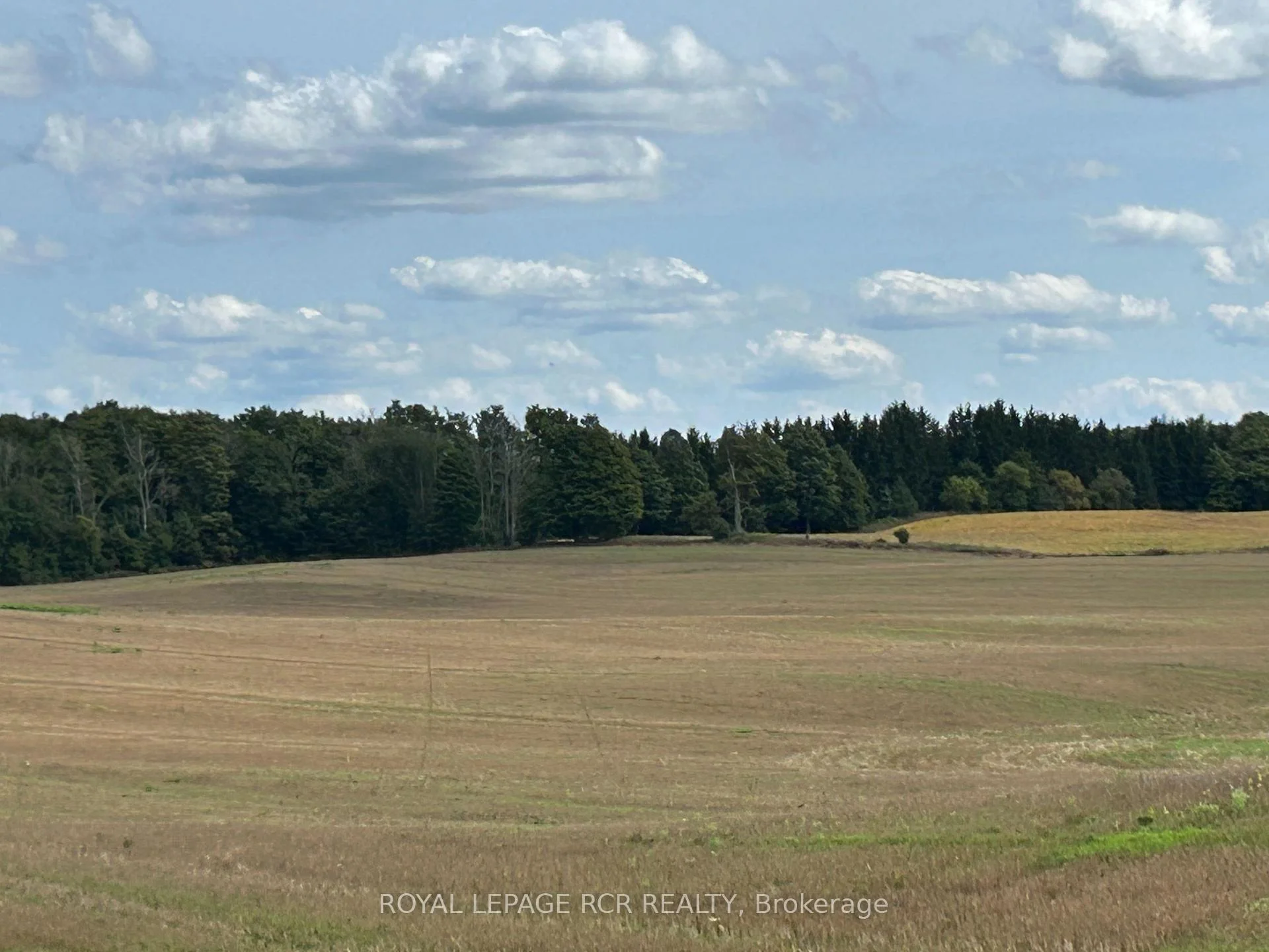 Photo 20 of PtLt 29 2nd Line, Amaranth, Rural Amaranth — HOMEH