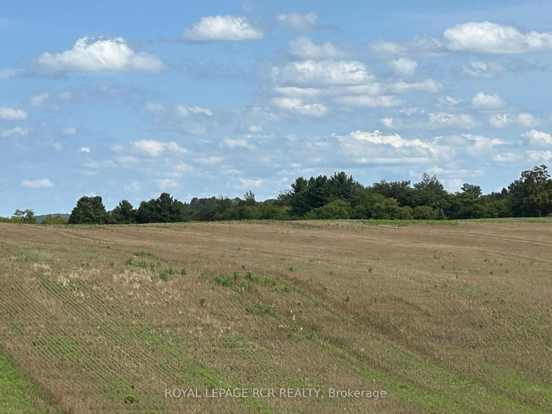 Photo 21 of PtLt 29 2nd Line, Amaranth, Rural Amaranth — HOMEH