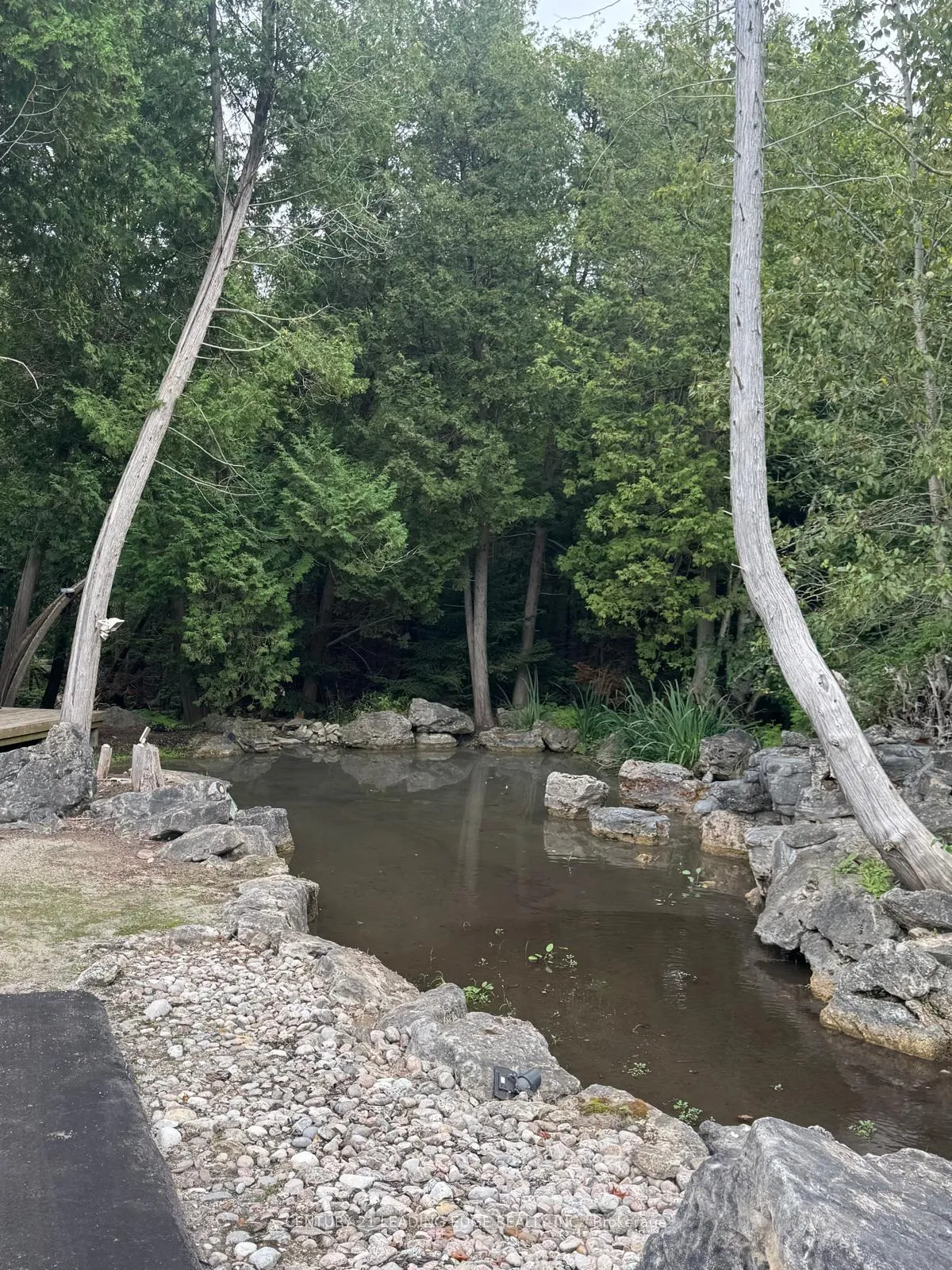 Photo 10 of 5165 Pineridge Drive, Milton, Rural Nassagaweya — HOMEH