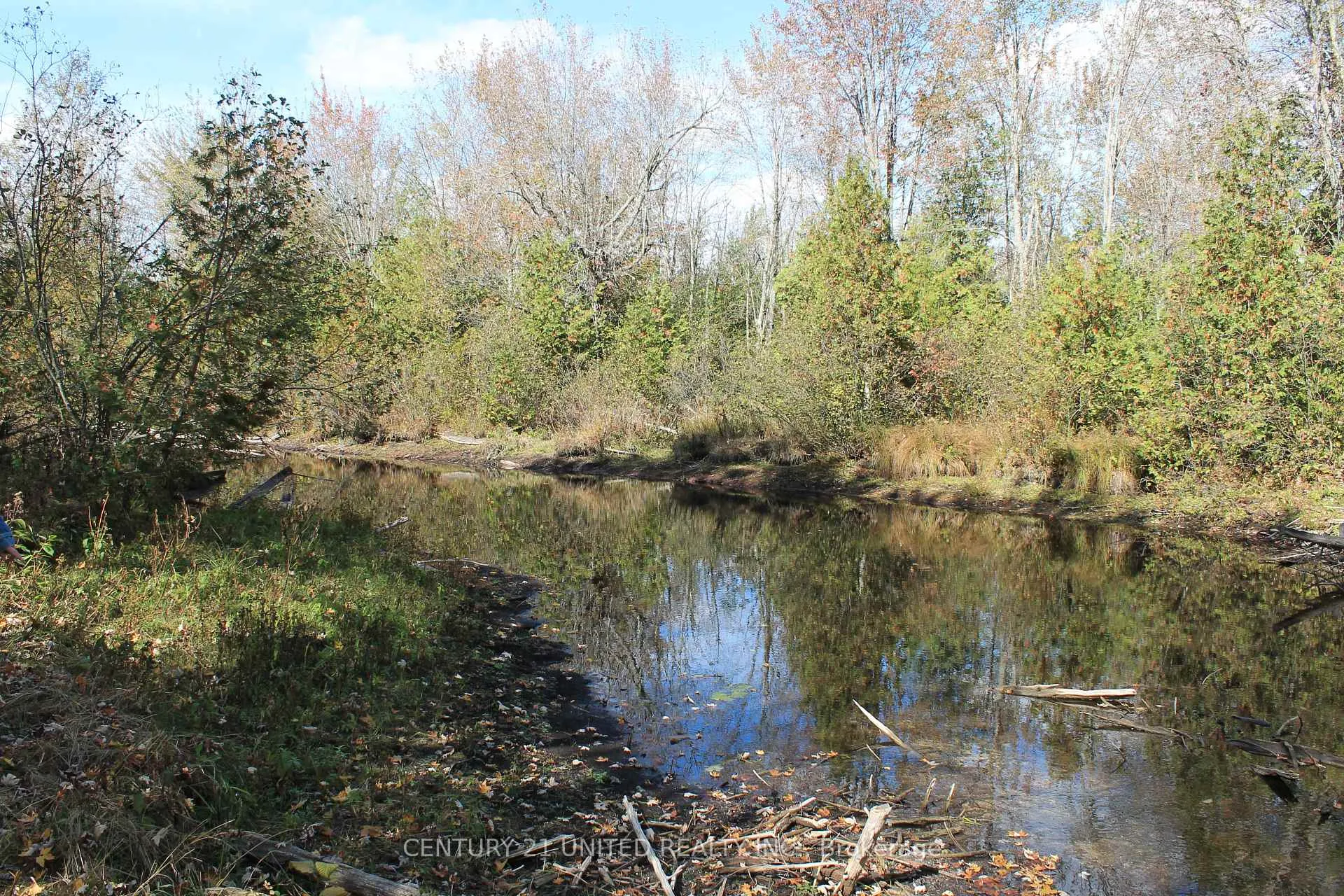 Photo 14 of 257 10th Line Rd South Dummer, Douro-Dummer — HOMEH