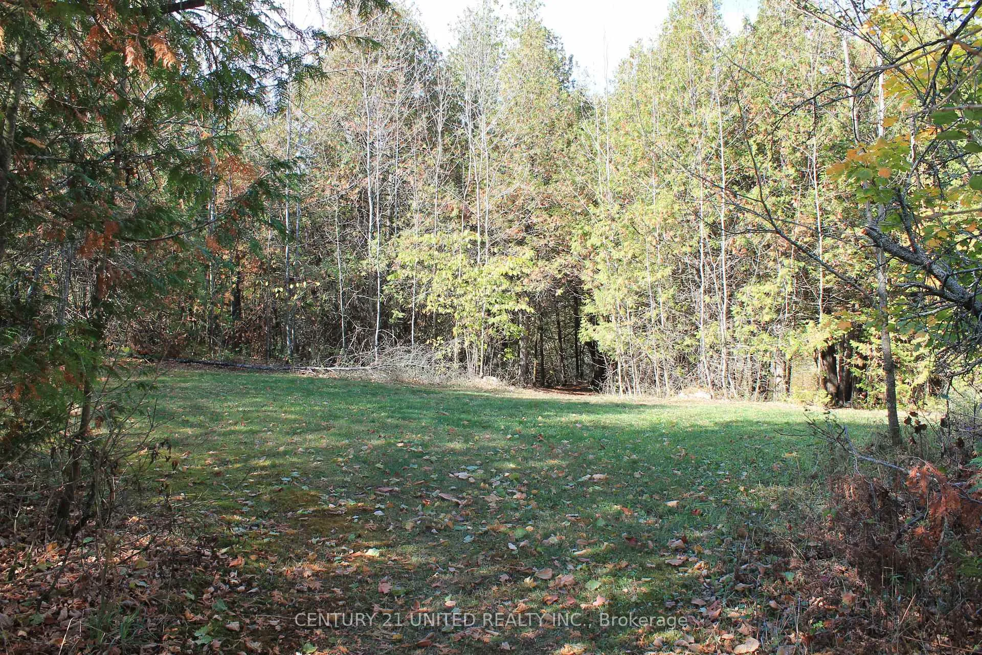 Photo 16 of 257 10th Line Rd South Dummer, Douro-Dummer — HOMEH